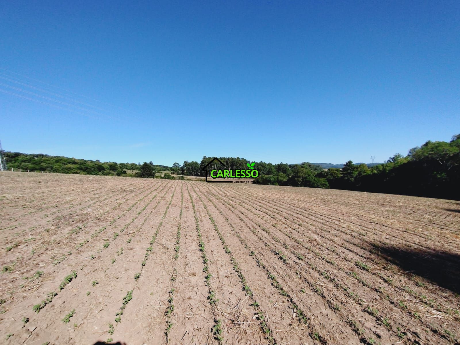 Sítio, 9 hectares - Foto 19