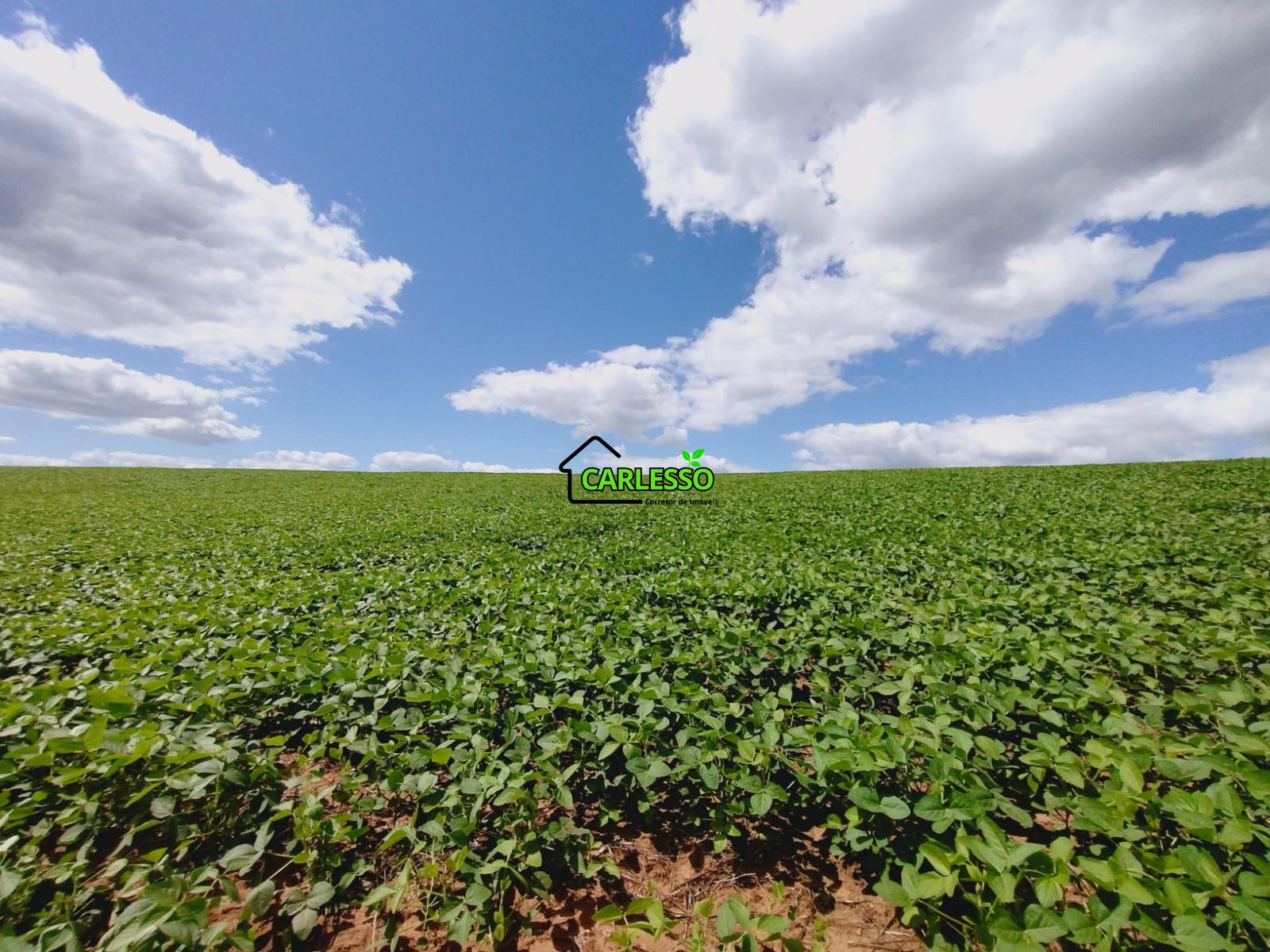 Sítio, 25 hectares - Foto 55