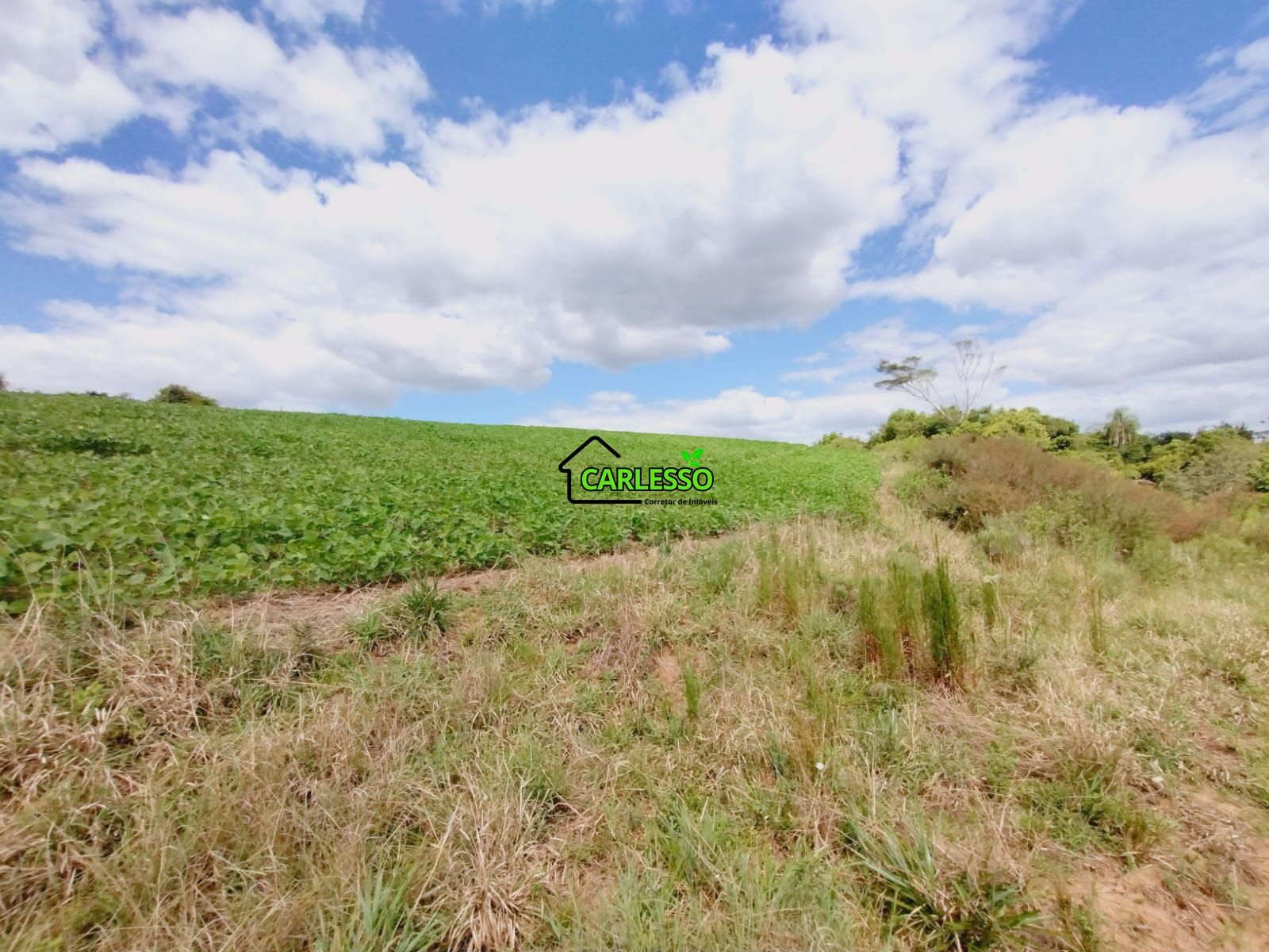 Sítio, 25 hectares - Foto 25