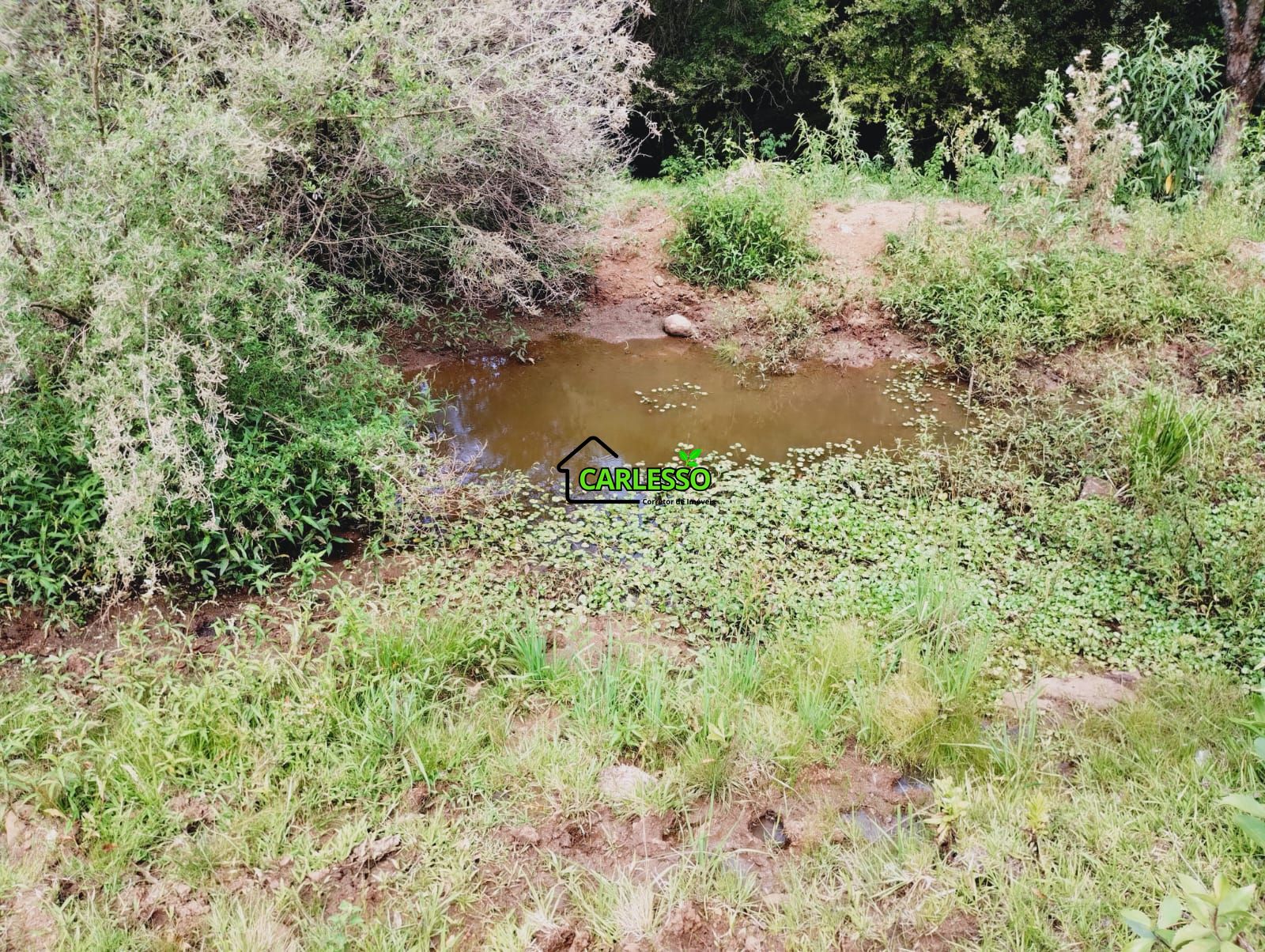 Sítio, 23 hectares - Foto 27