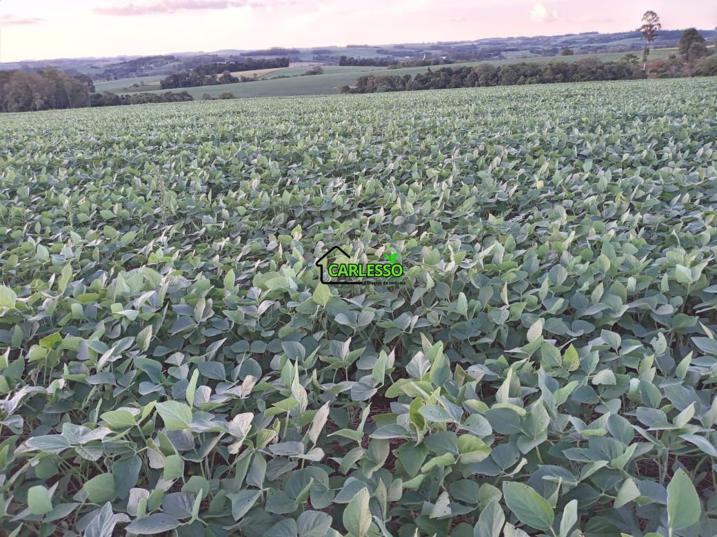 48 ha em santo ângelo