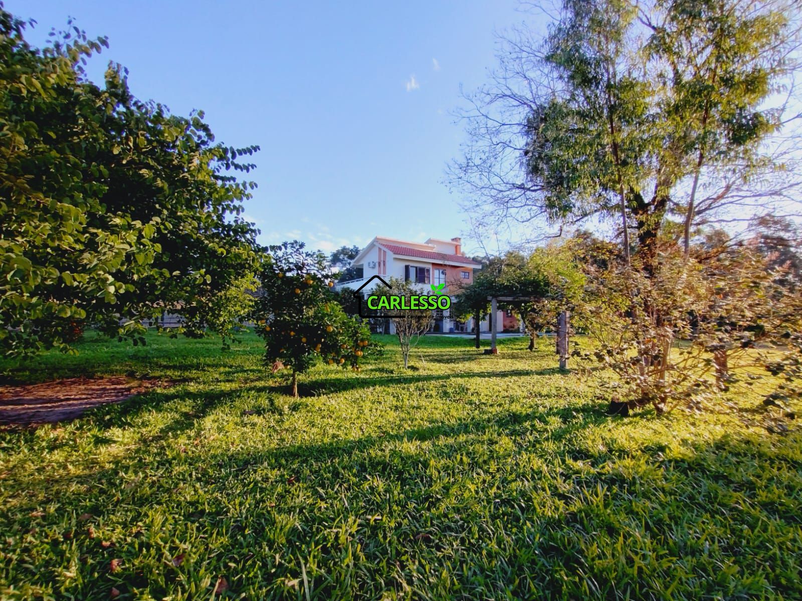 Sítio, 3 quartos, 7 hectares - Foto 6