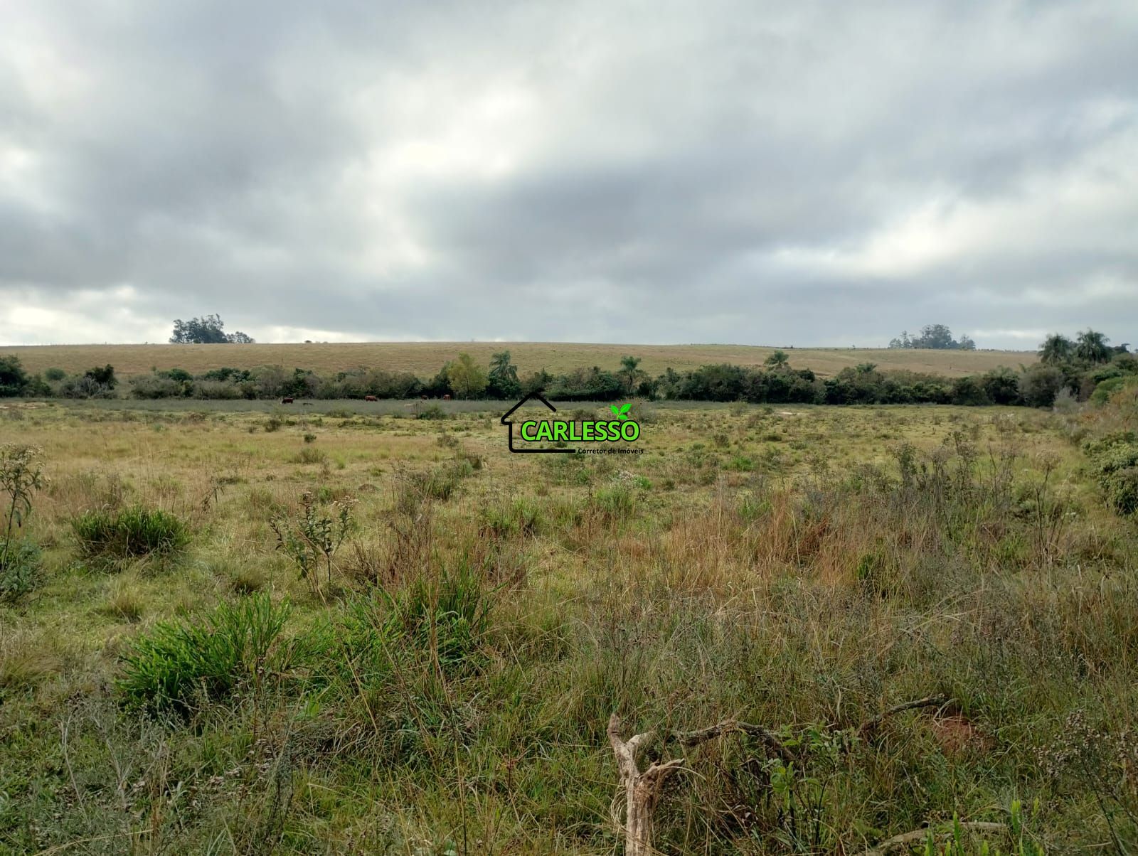 Área rural de frente ao asfalto