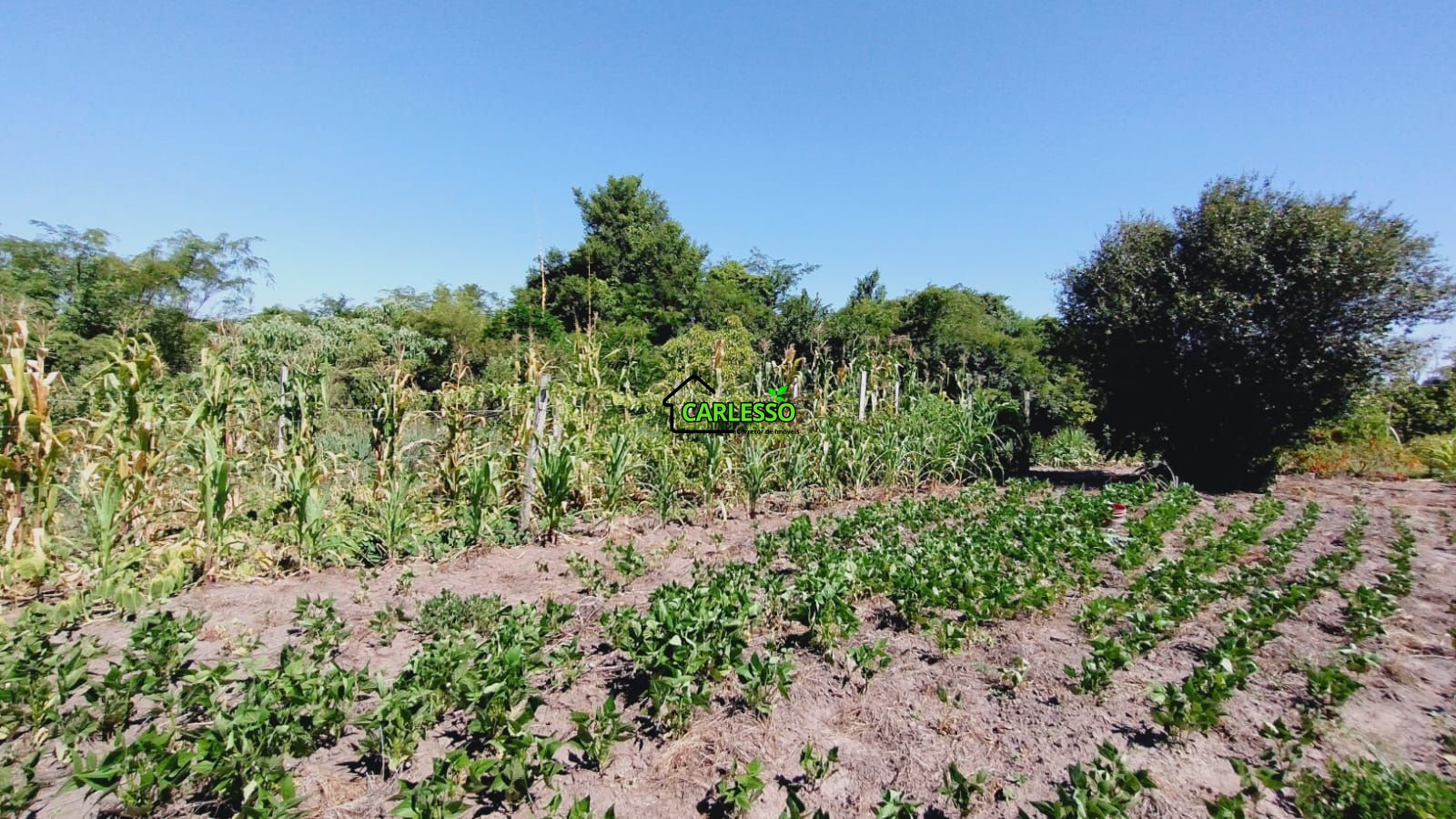 Sítio, 2 quartos, 7 hectares - Foto 31