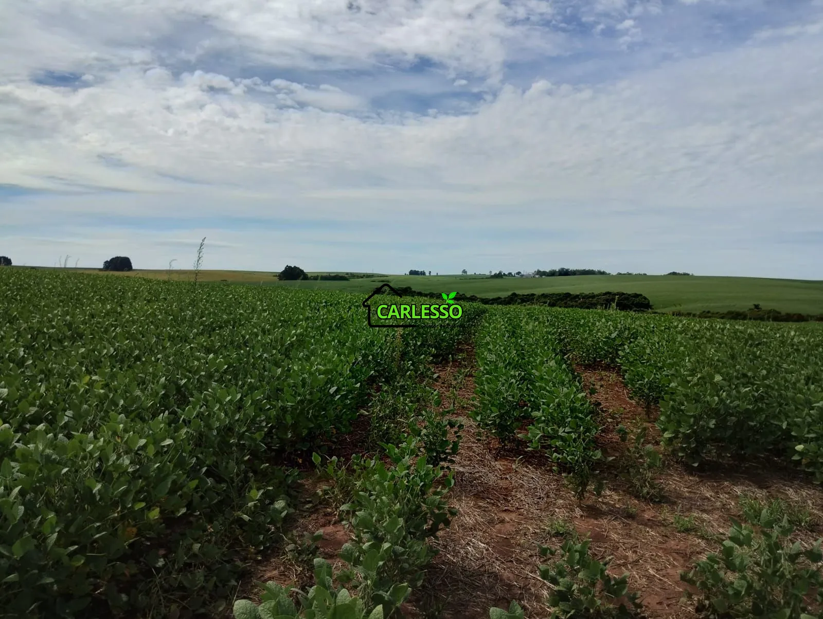 Sítio, 3 quartos, 25 hectares - Foto 49