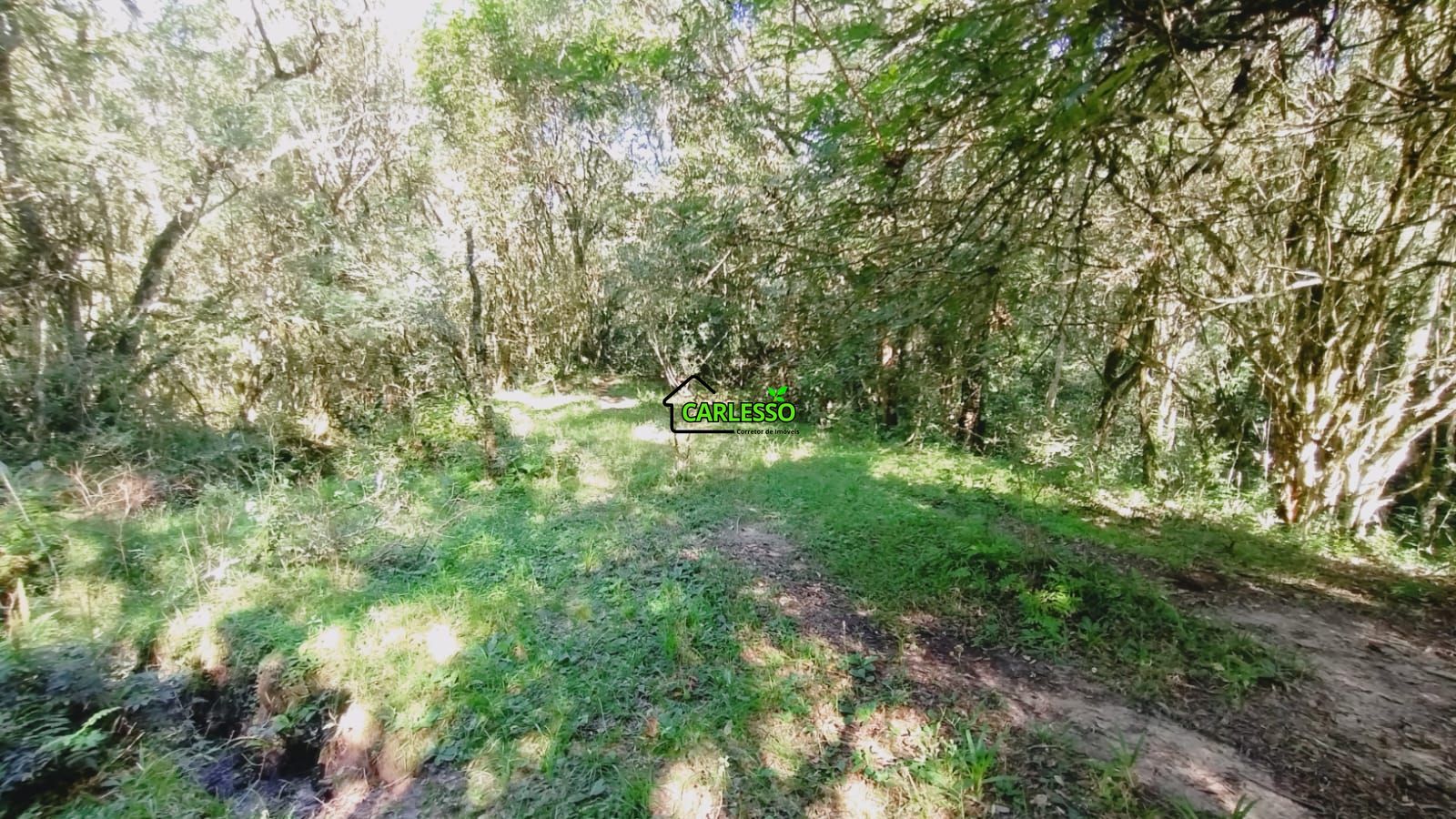 Área rural de 28 ha