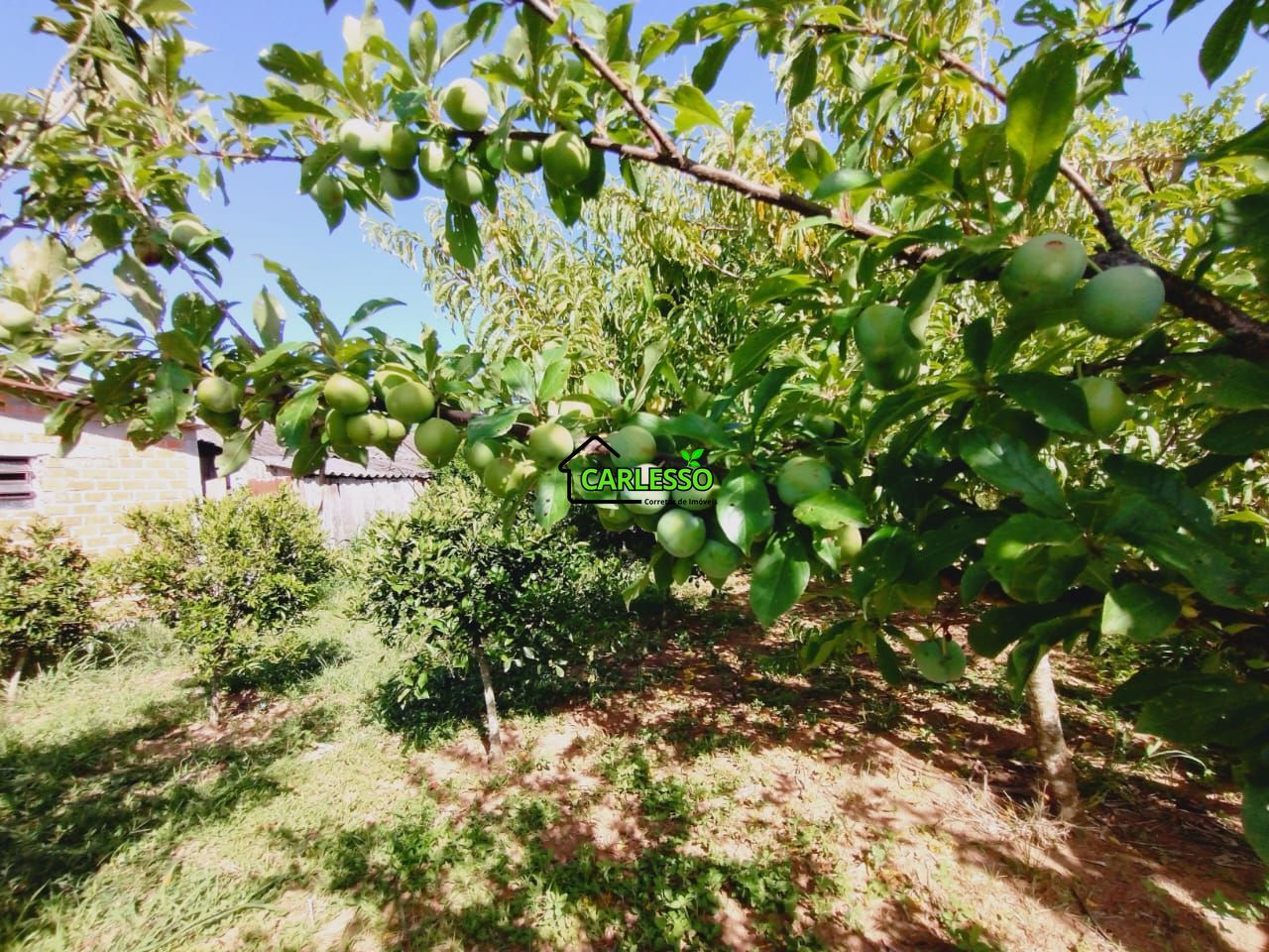 Chácara, 2 quartos, 2 hectares - Foto 13