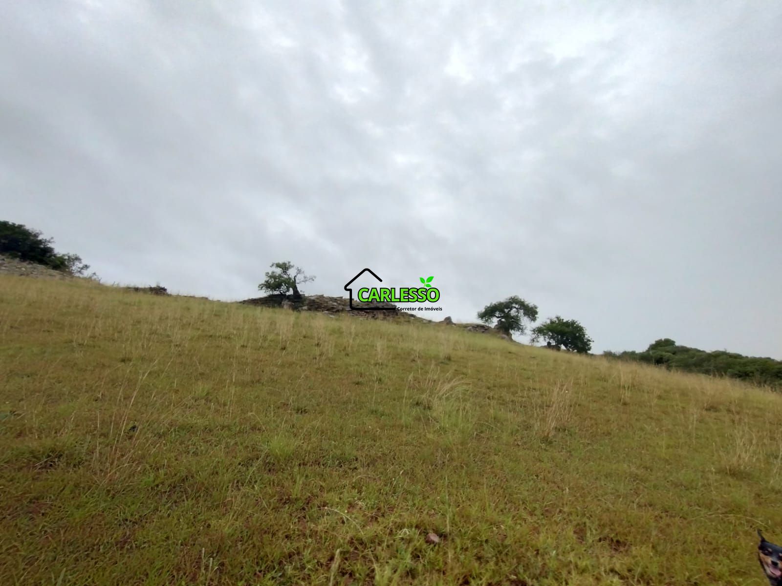 Fazenda de 80 ha em alegrete