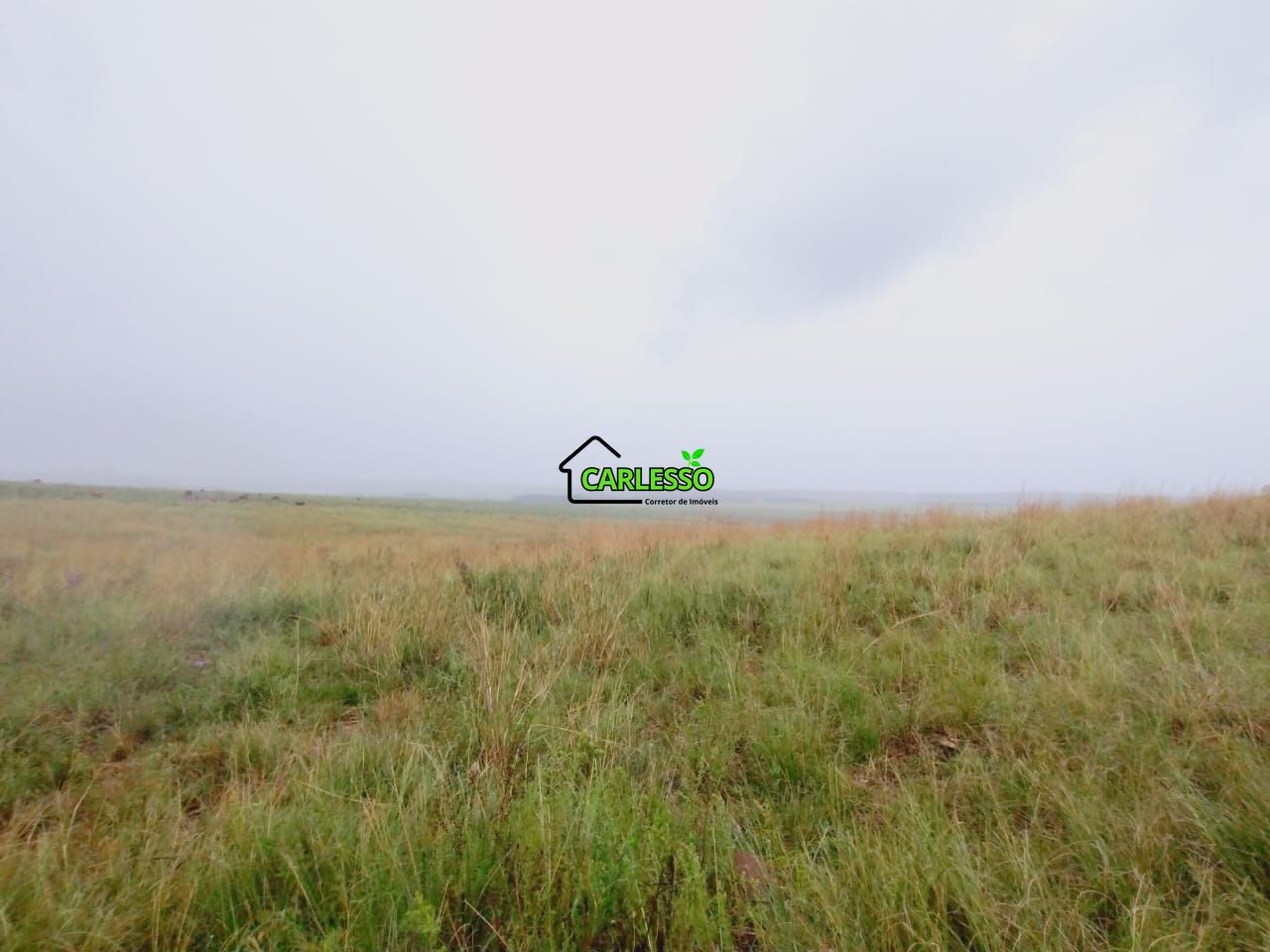 Fazenda, 119 hectares - Foto 13