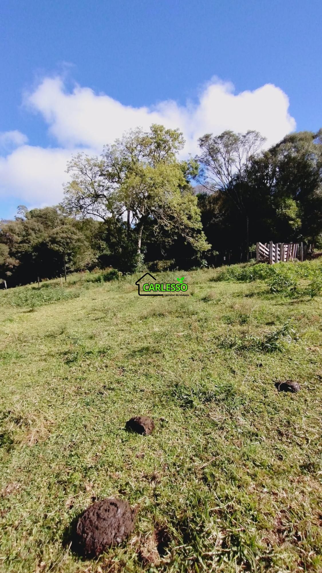 Área rural de 6 ha