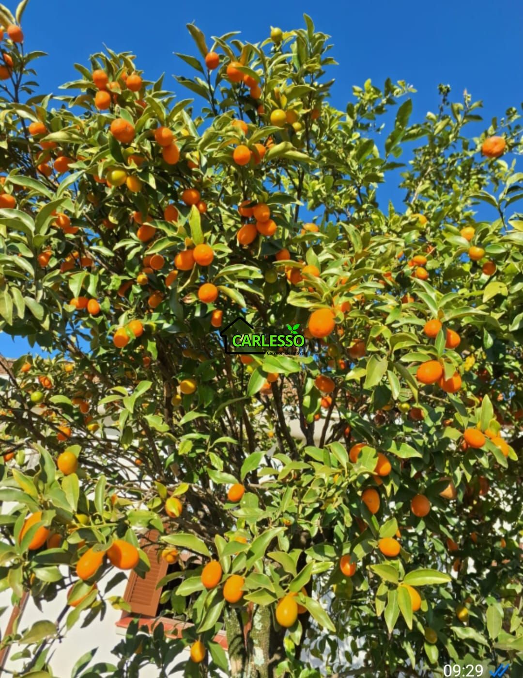 Chácara, 3 quartos, 5000 m² - Foto 25