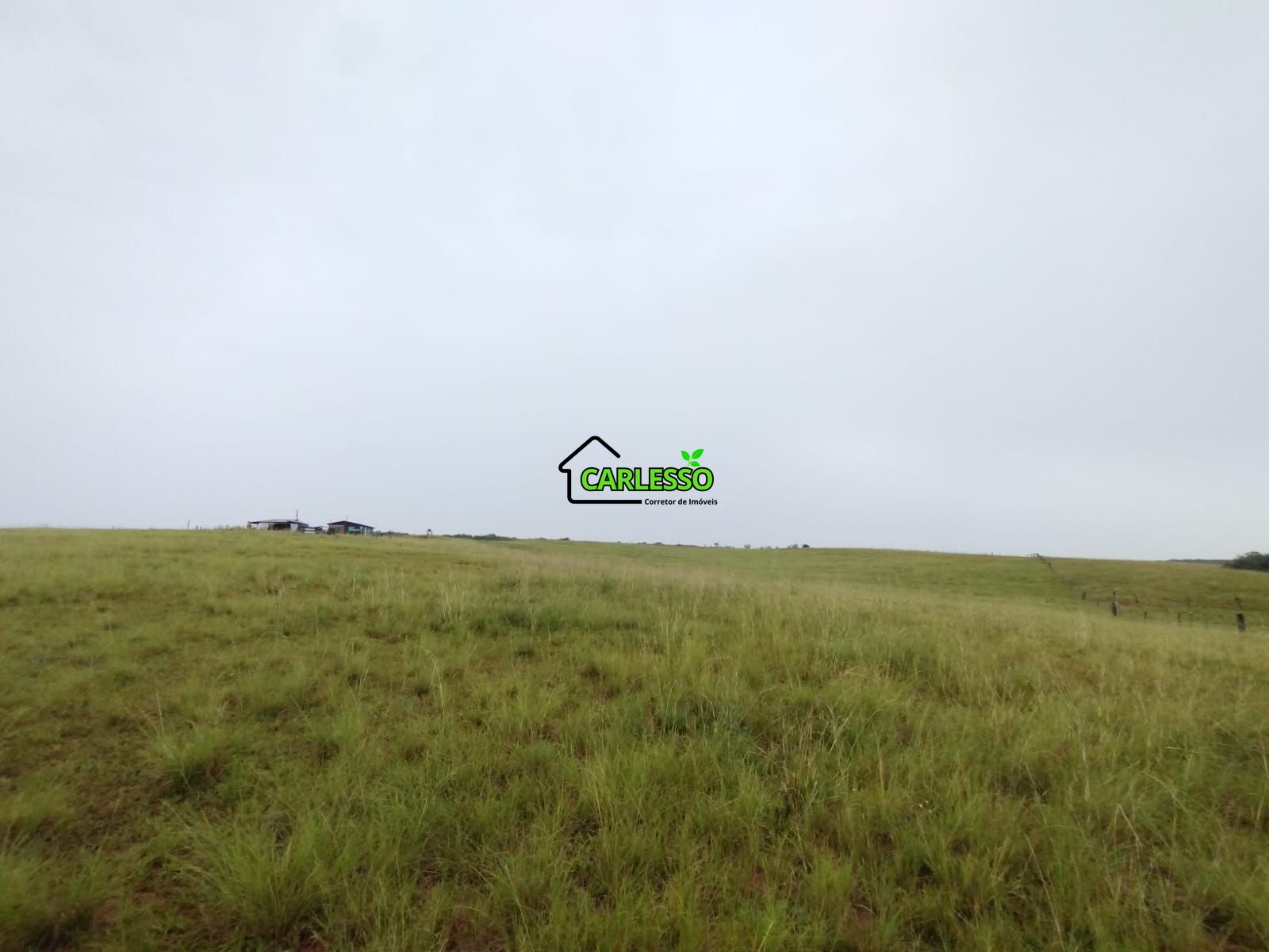 Fazenda de 80 ha em Alegrete