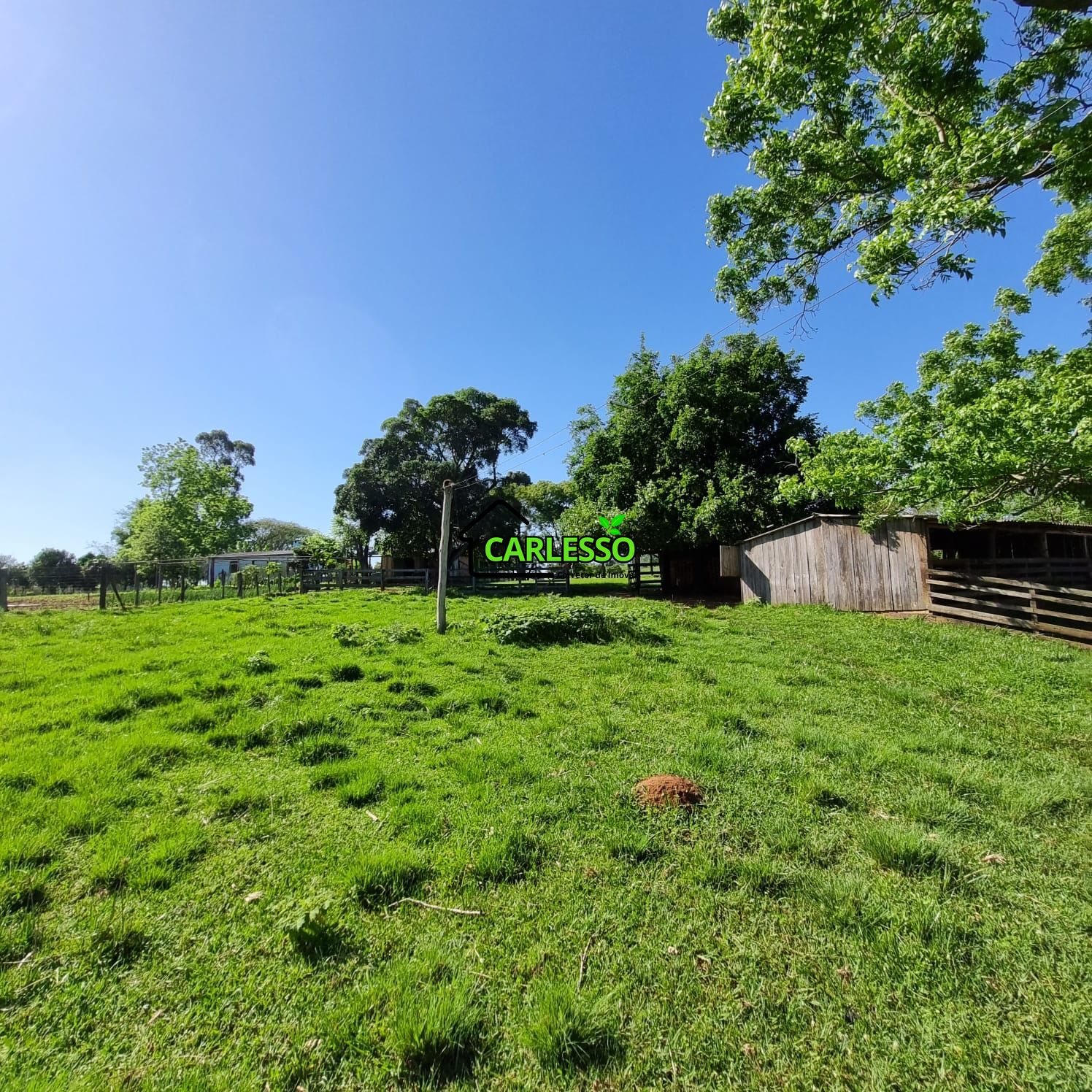 Chácara, 5 quartos, 7 hectares - Foto 30