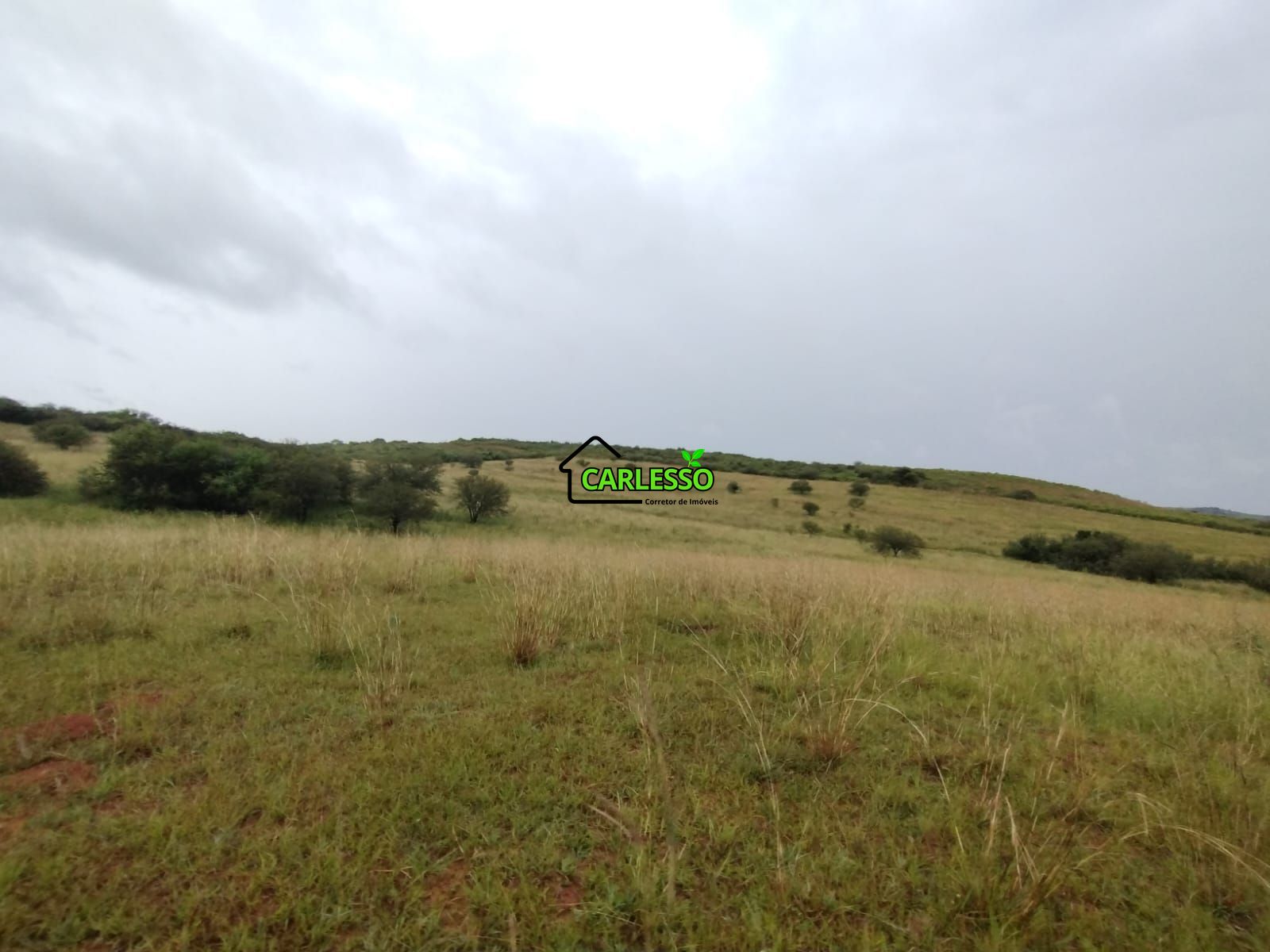 Fazenda de 80 ha em Alegrete