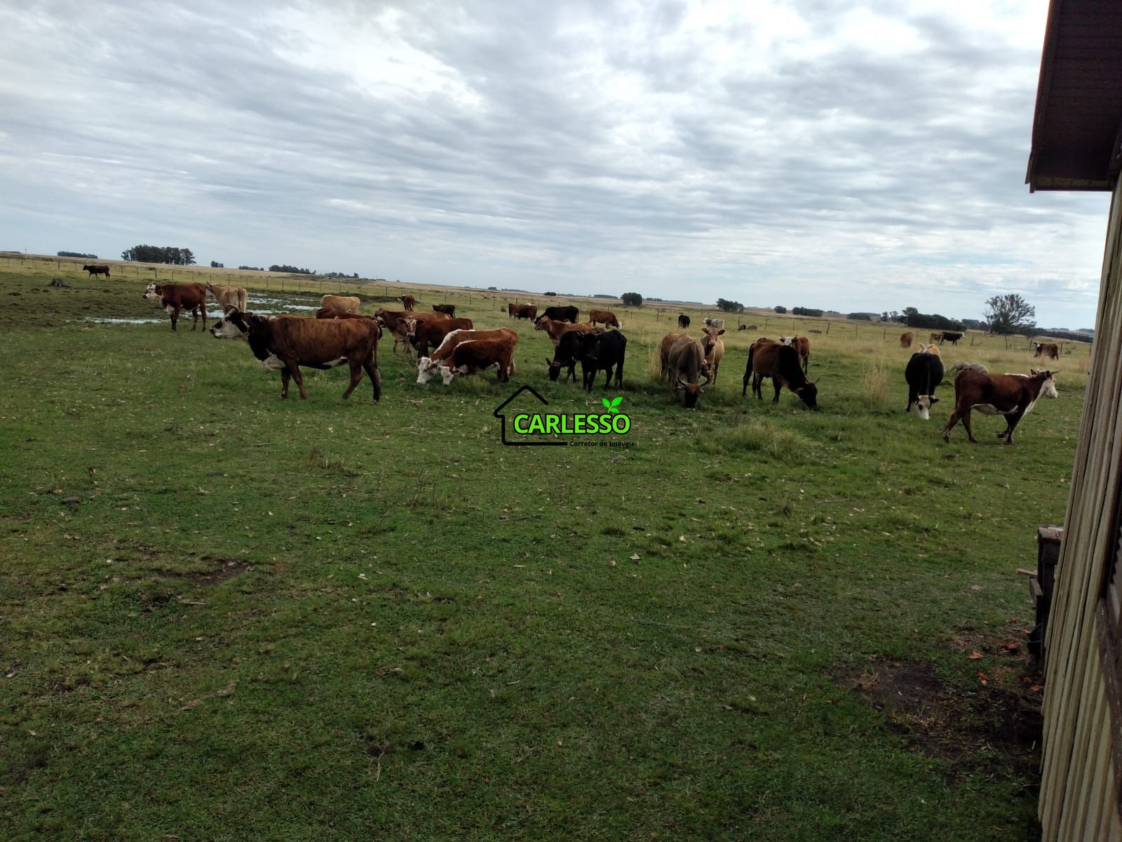 Fazenda de 65 ha