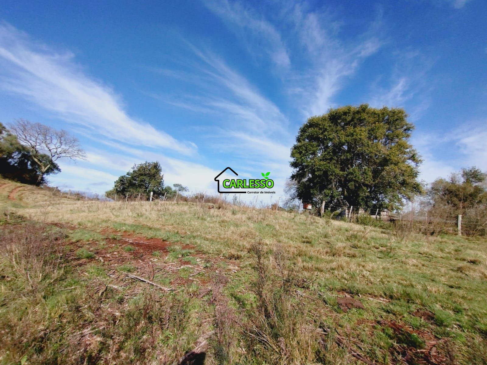 Chácara, 3 quartos, 10000 m² - Foto 38