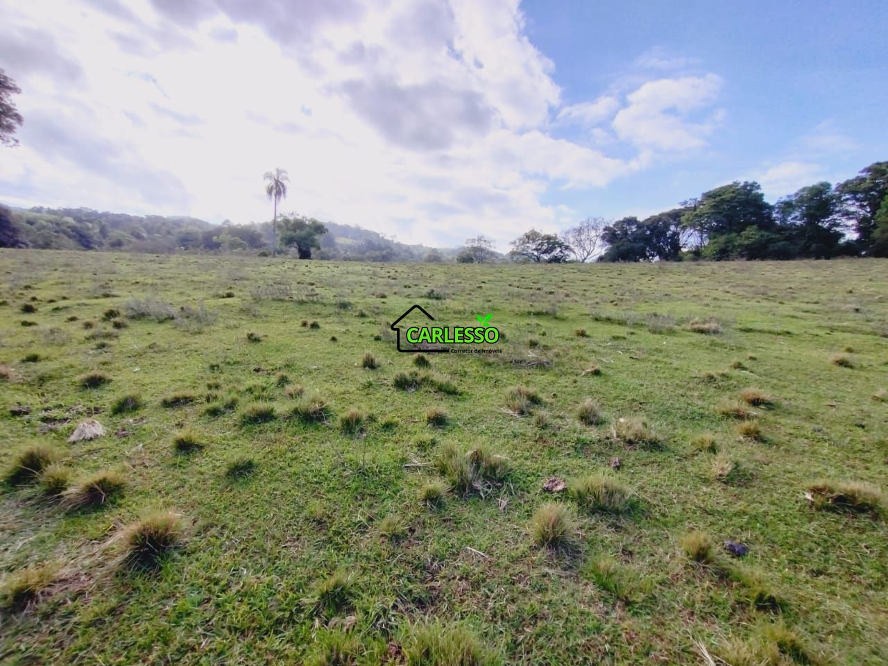 Chácara, 9 hectares - Foto 25