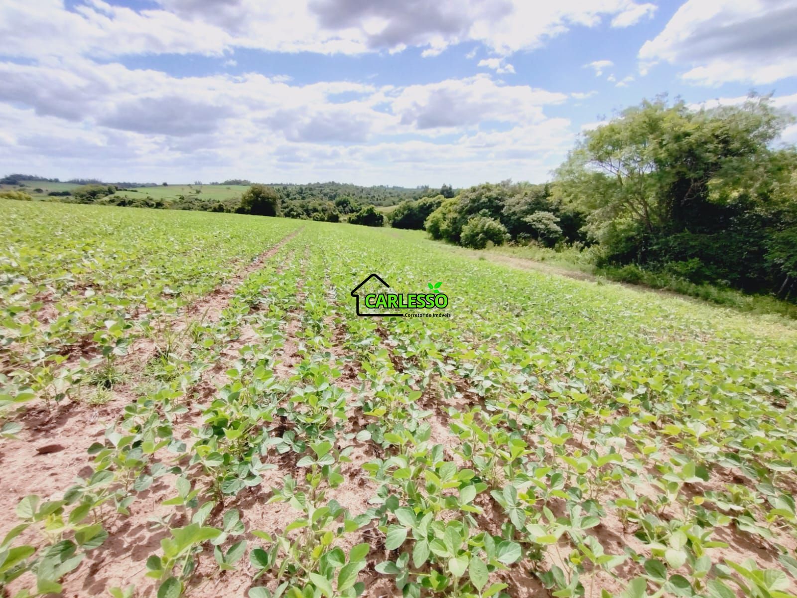 Sítio, 25 hectares - Foto 43