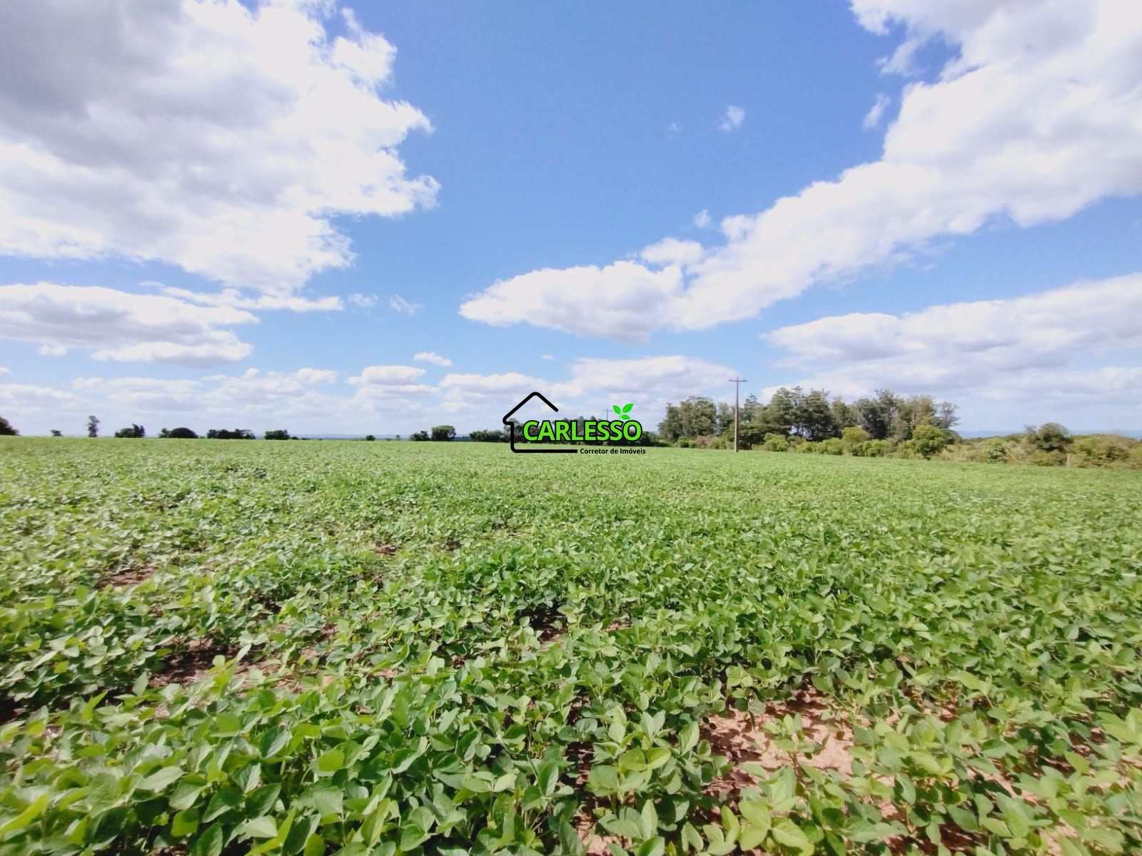 Sítio, 25 hectares - Foto 40