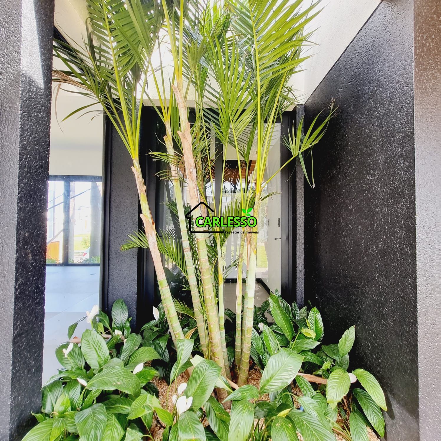 Casa, 3 quartos, 195 m² - Foto 6