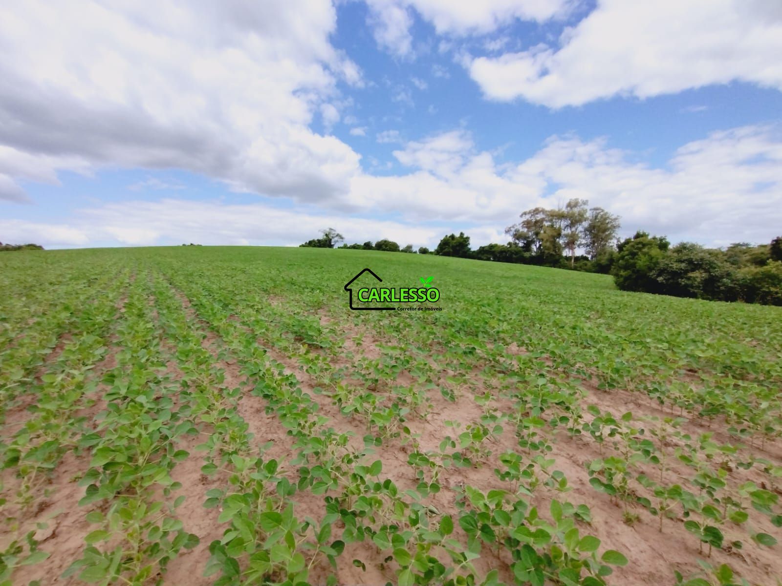 Sítio, 25 hectares - Foto 18