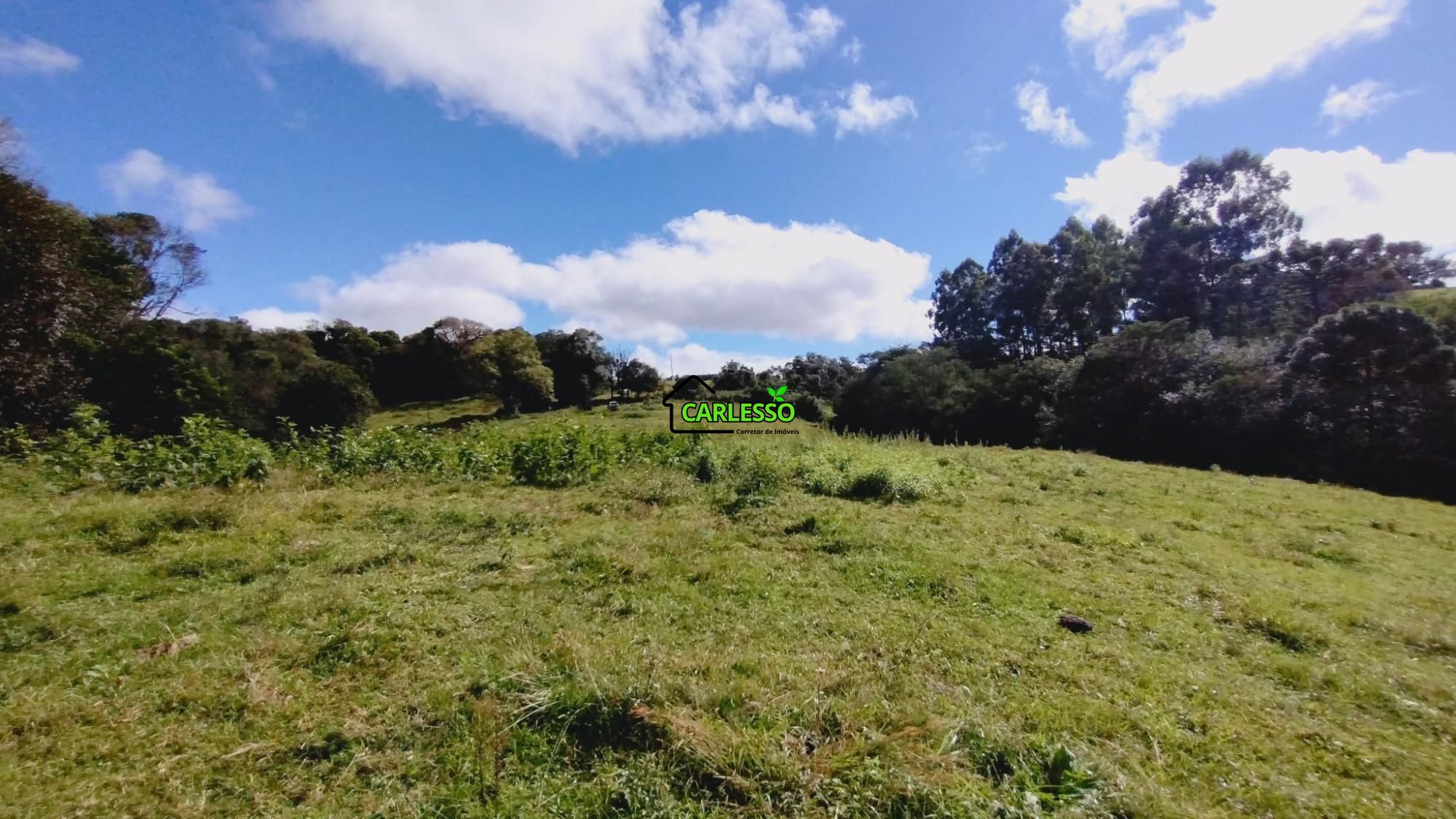Área rural de 6 ha