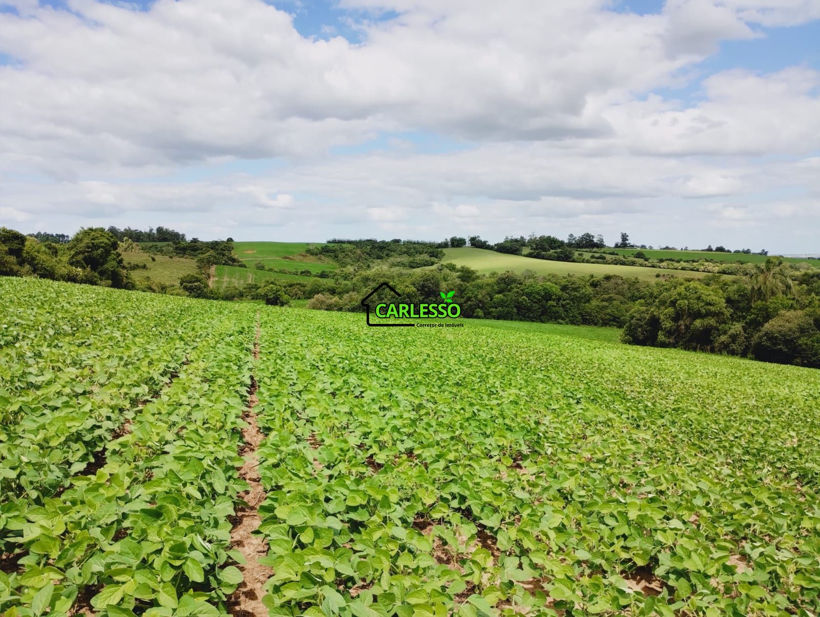 Sítio, 25 hectares - Foto 57