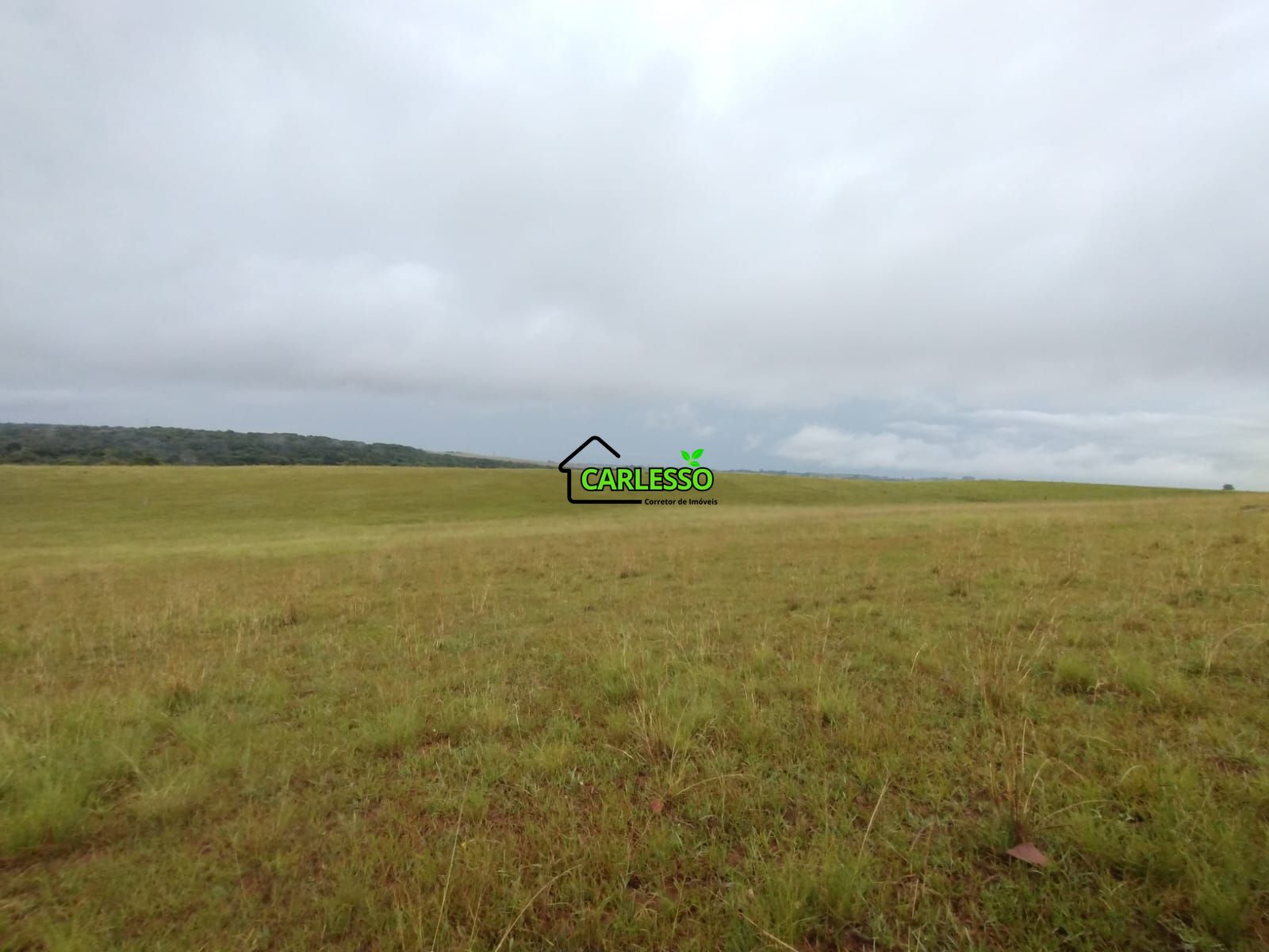 Fazenda de 80 ha em Alegrete