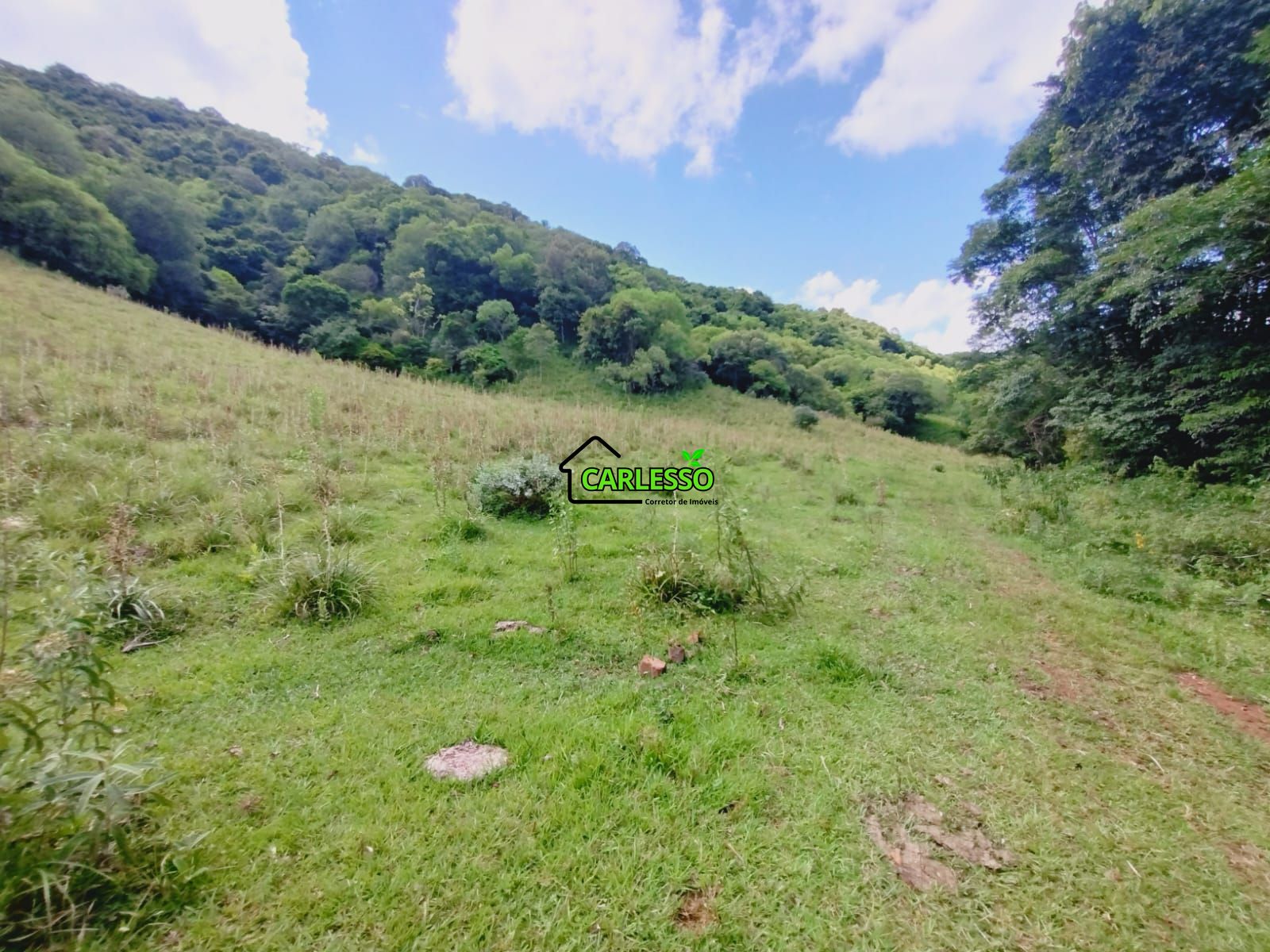 Sítio, 23 hectares - Foto 29