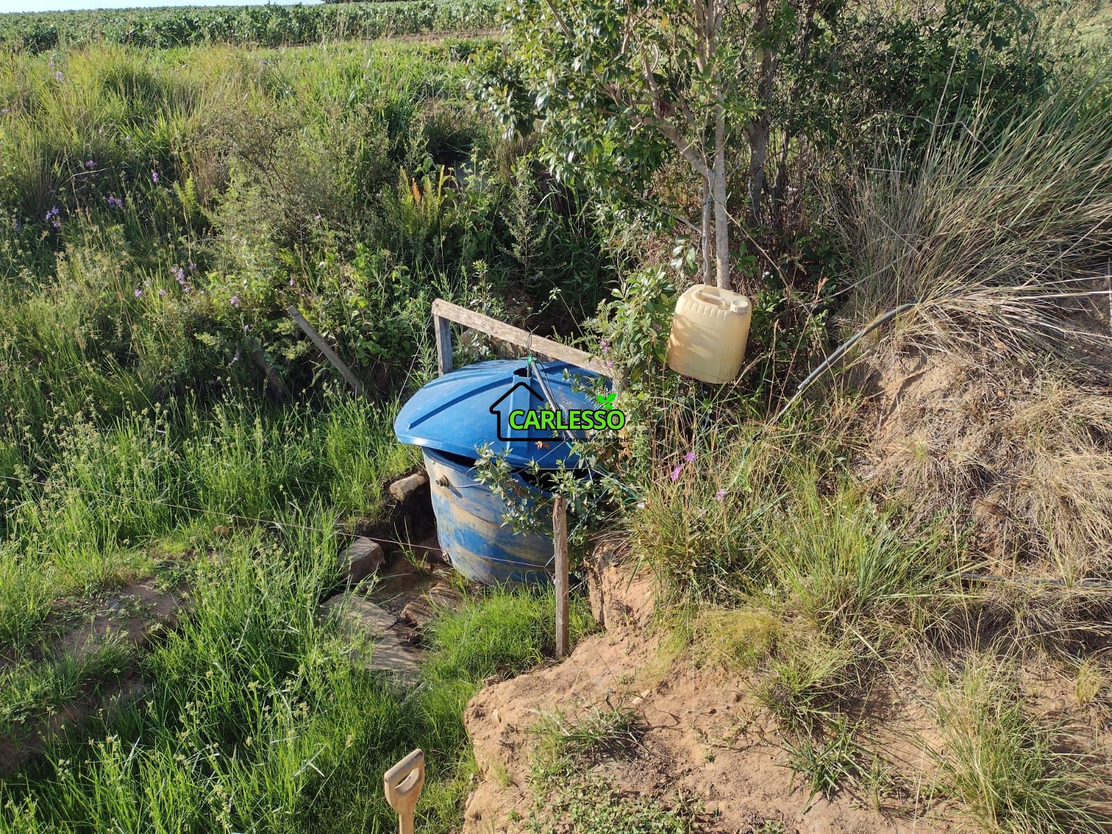 Fazenda com 63 ha