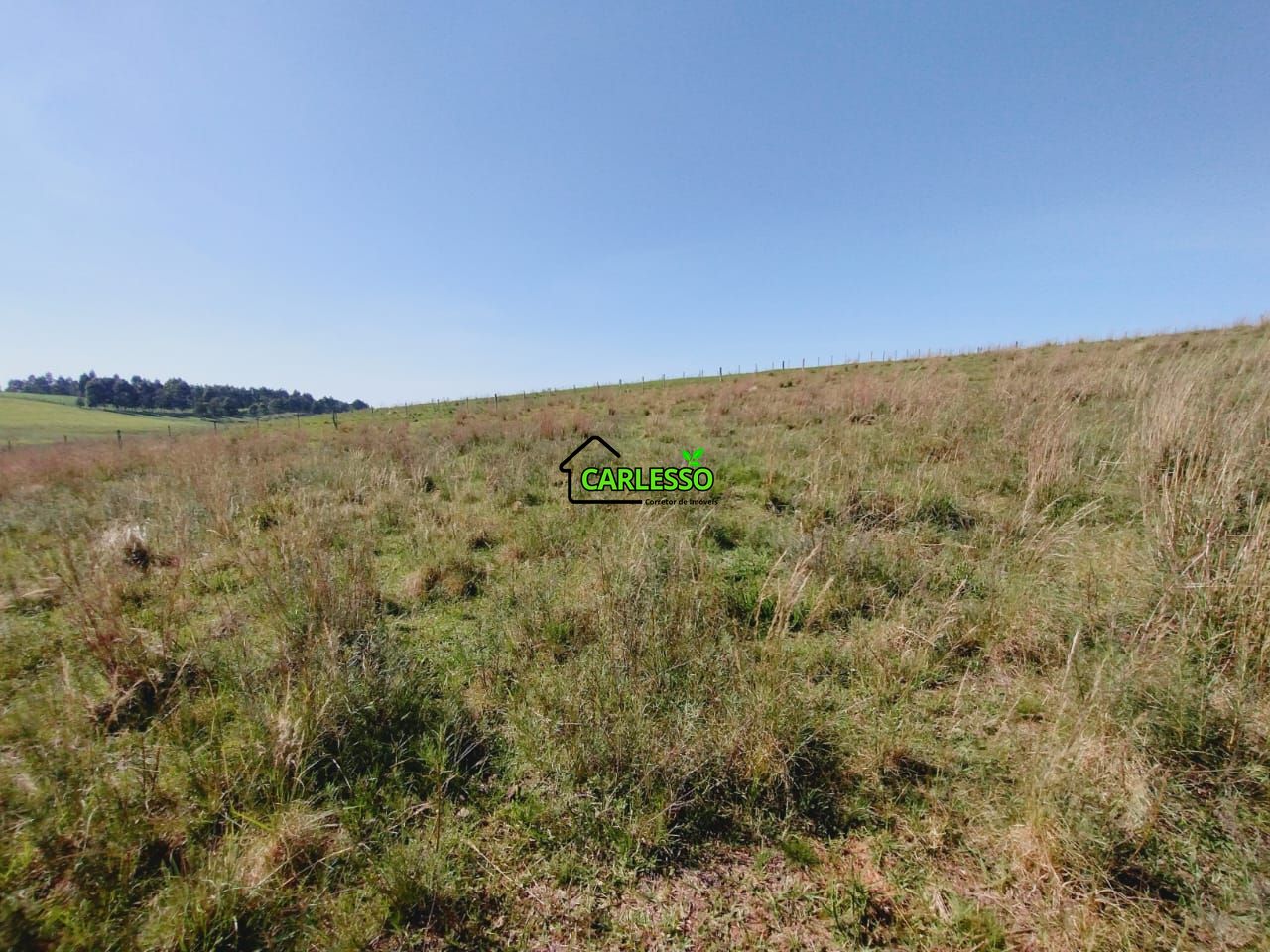 Chácara, 2 quartos, 2 hectares - Foto 45