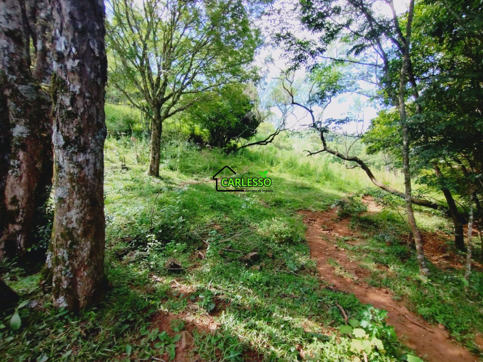 Fazenda/sítio/chácara/haras à venda, 228.000 m² por R$ 662.000,00 Fazenda/sítio/chácara/haras à venda, 228.000 m² por R$ 662.000,00