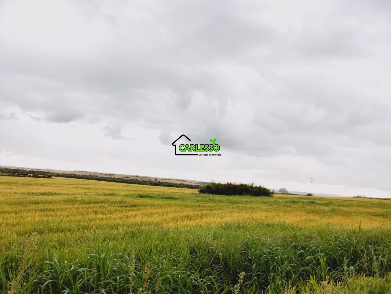 Fazenda, 119 hectares - Foto 23