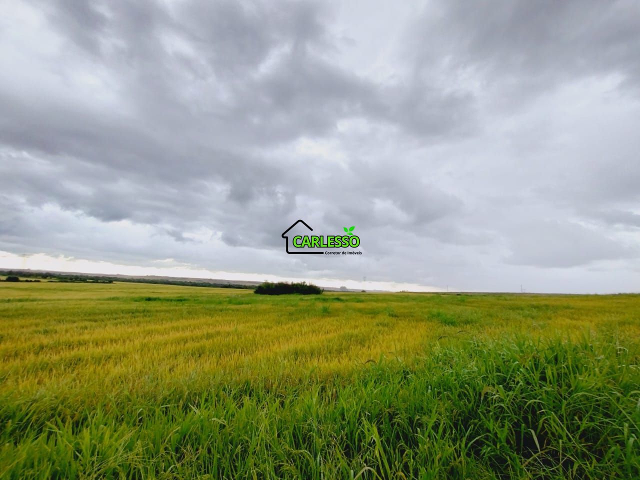 Fazenda, 119 hectares - Foto 24