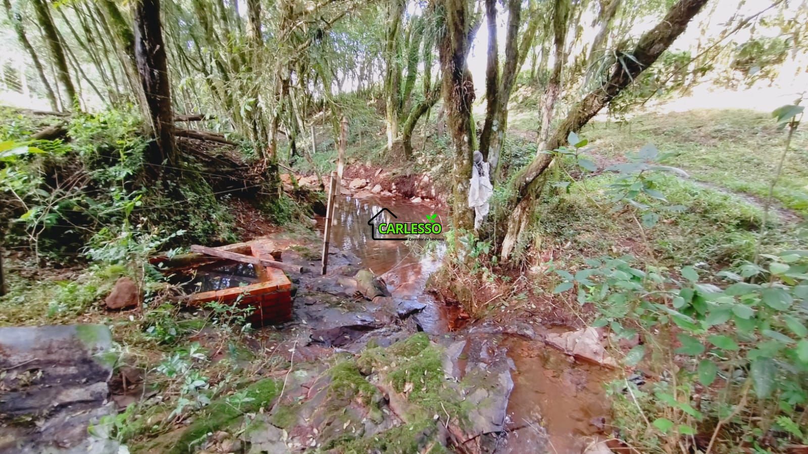 Área rural de 6 ha