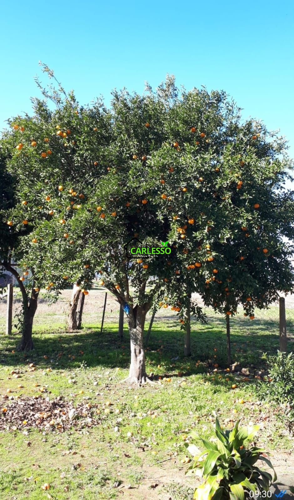 Chácara, 3 quartos, 5000 m² - Foto 24