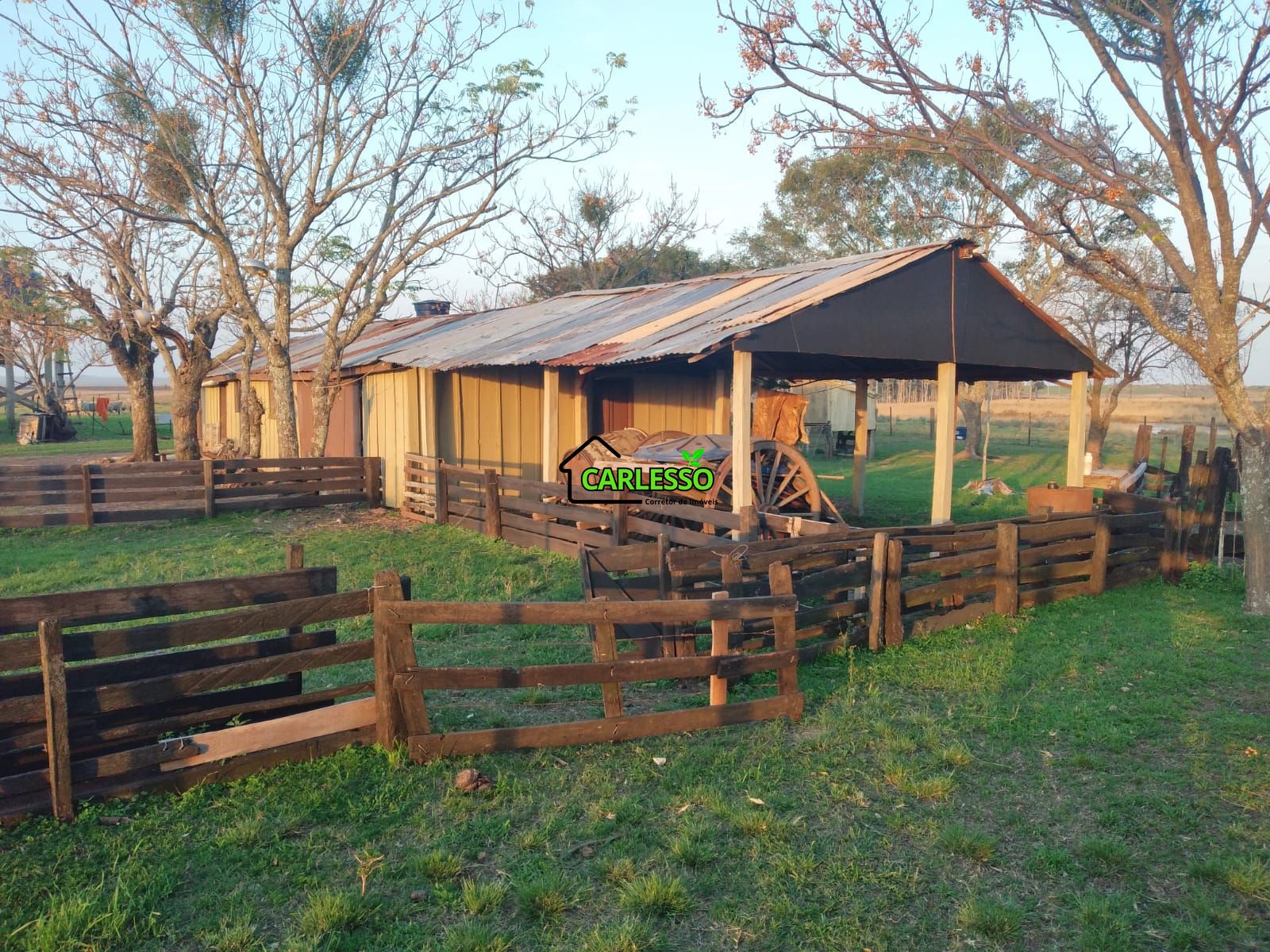 Fazenda de 65 ha