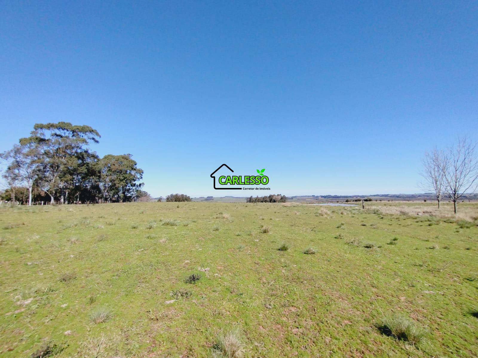 Chácara, 3 quartos, 12 hectares - Foto 42