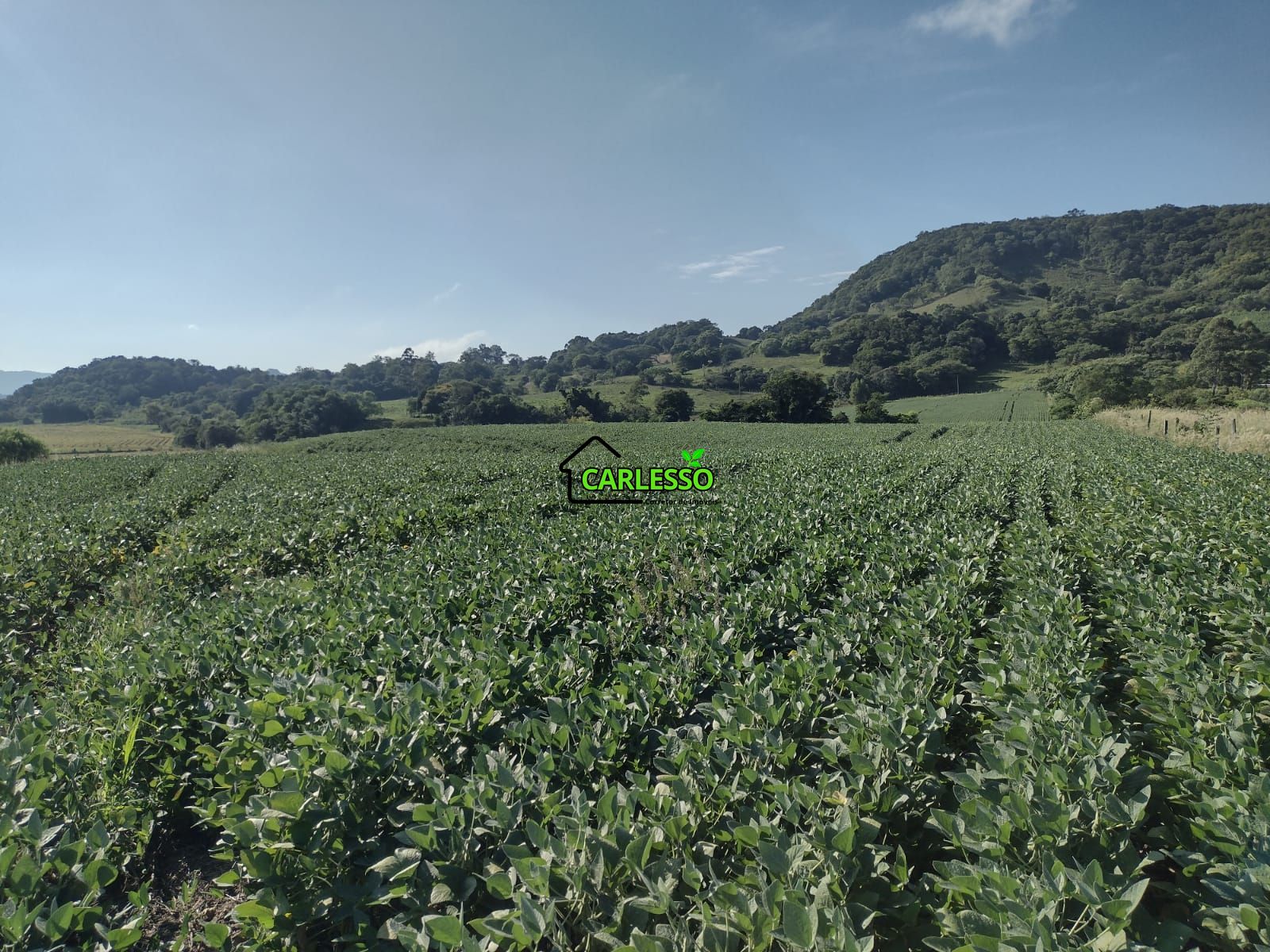 Área de 8,5 ha a venda