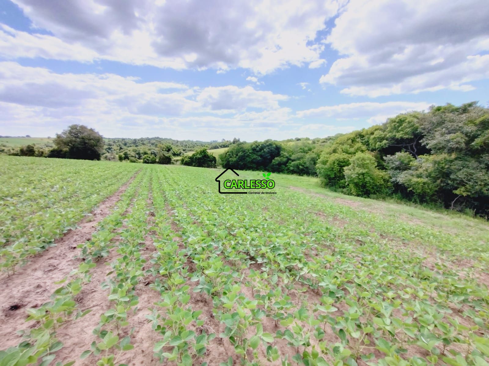 Sítio, 25 hectares - Foto 16