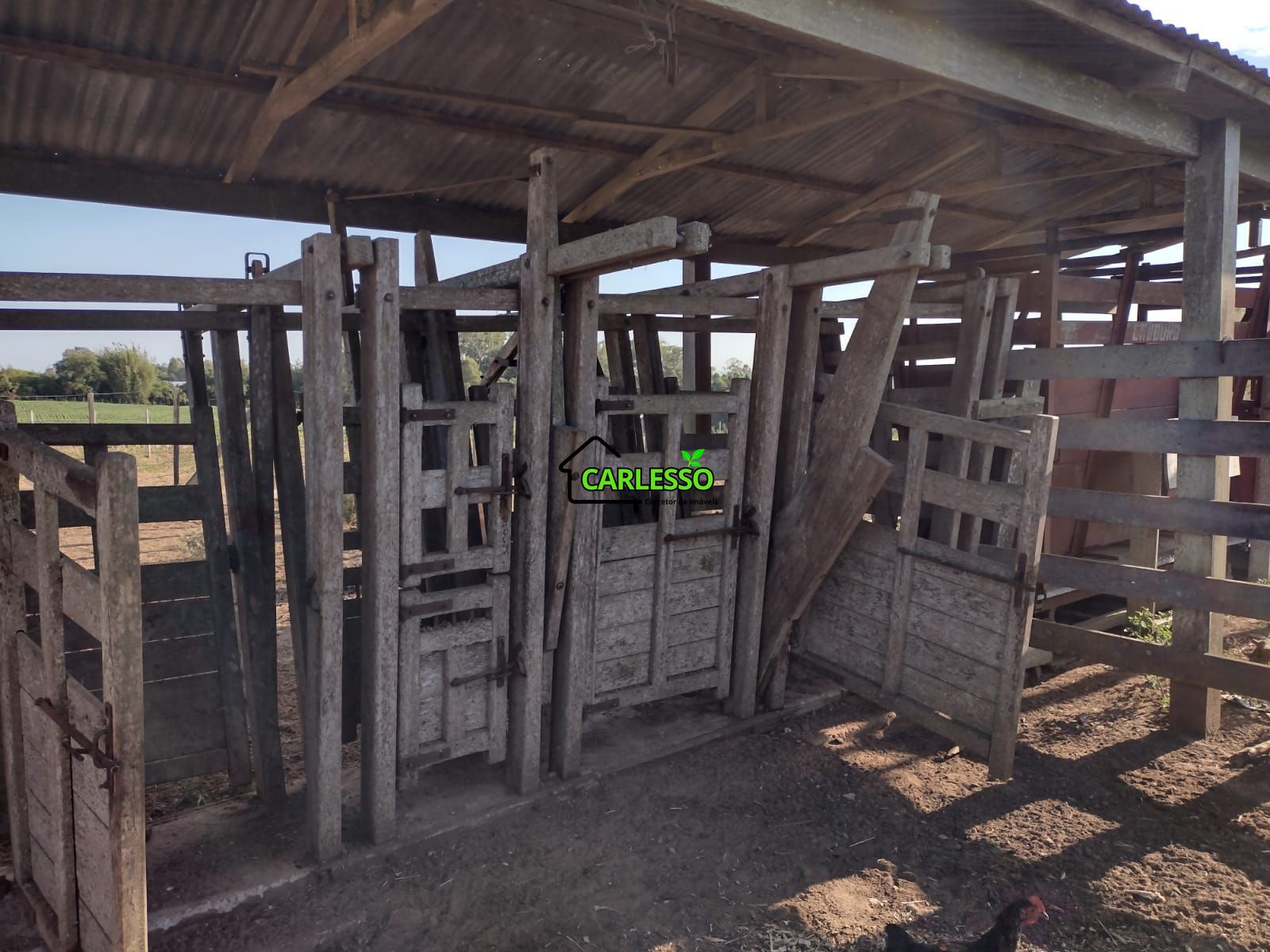 Fazenda com 63 ha