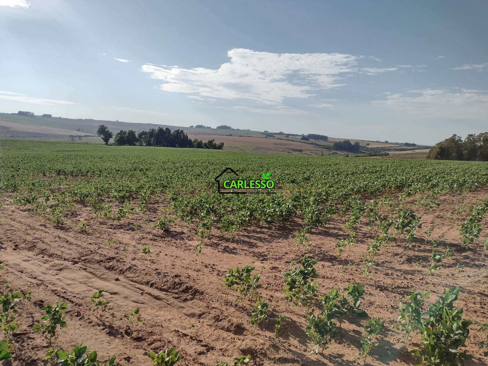 Fazenda com 63 ha