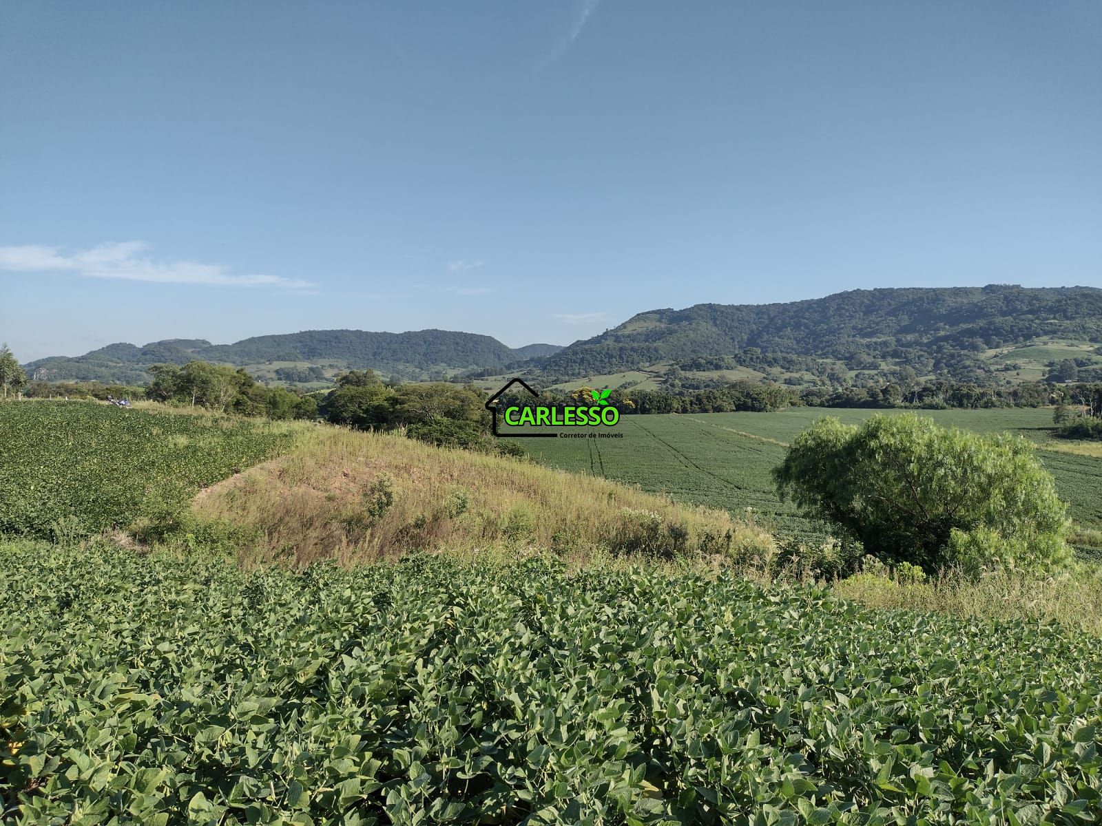 Área de 8,5 ha a venda