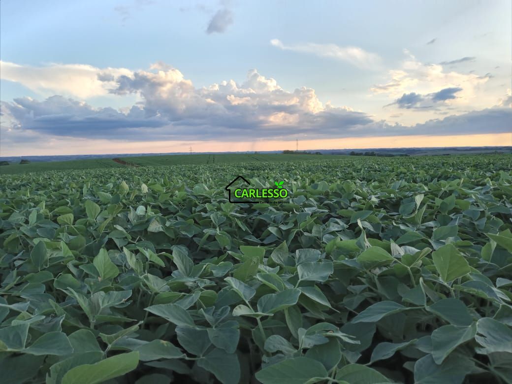 48 ha em santo ângelo