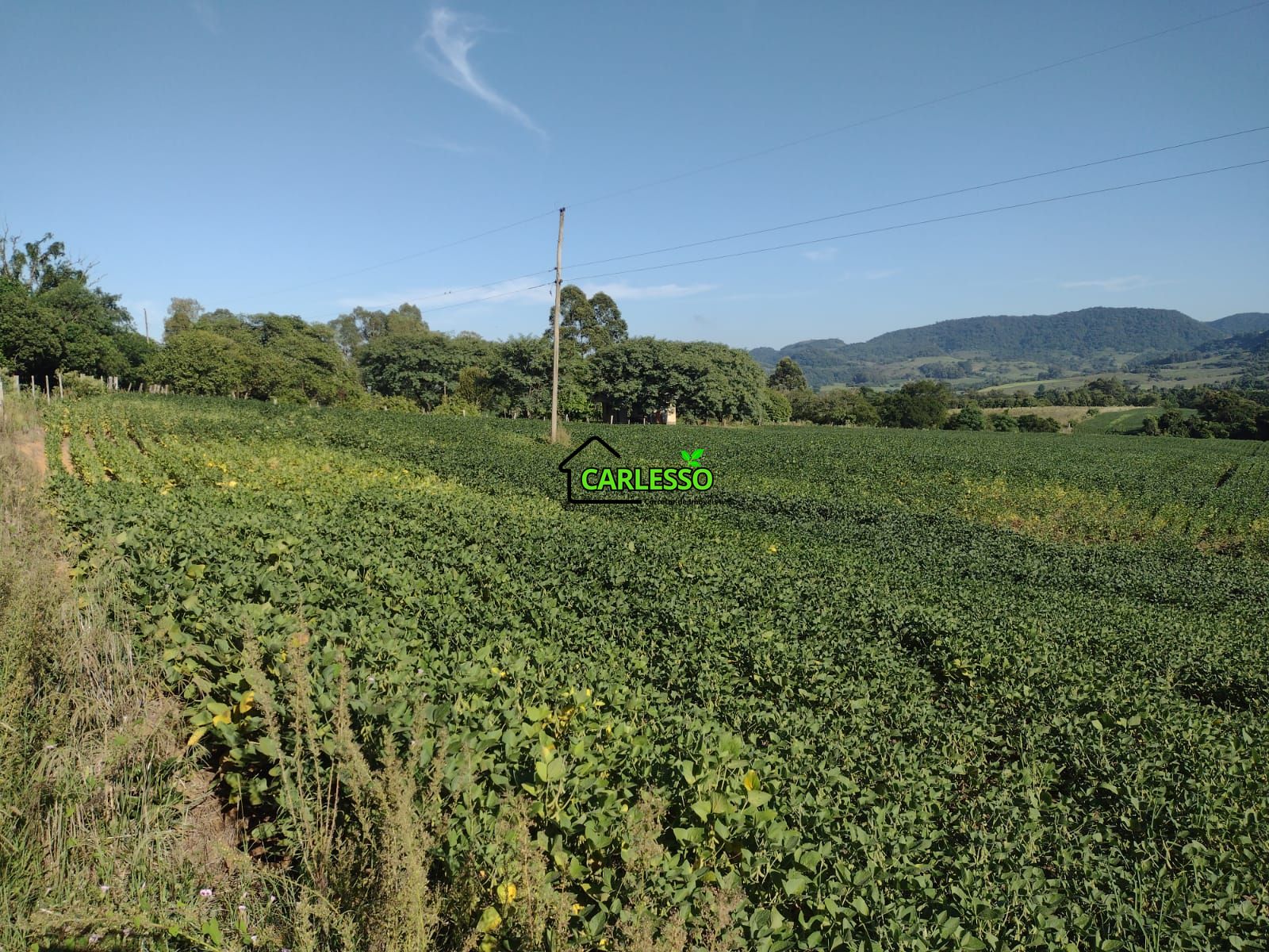 Área de 8,5 ha a venda
