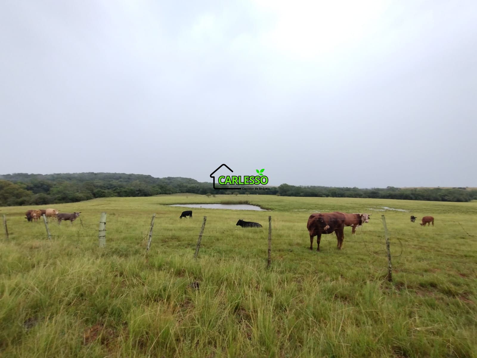Fazenda de 80 ha em Alegrete