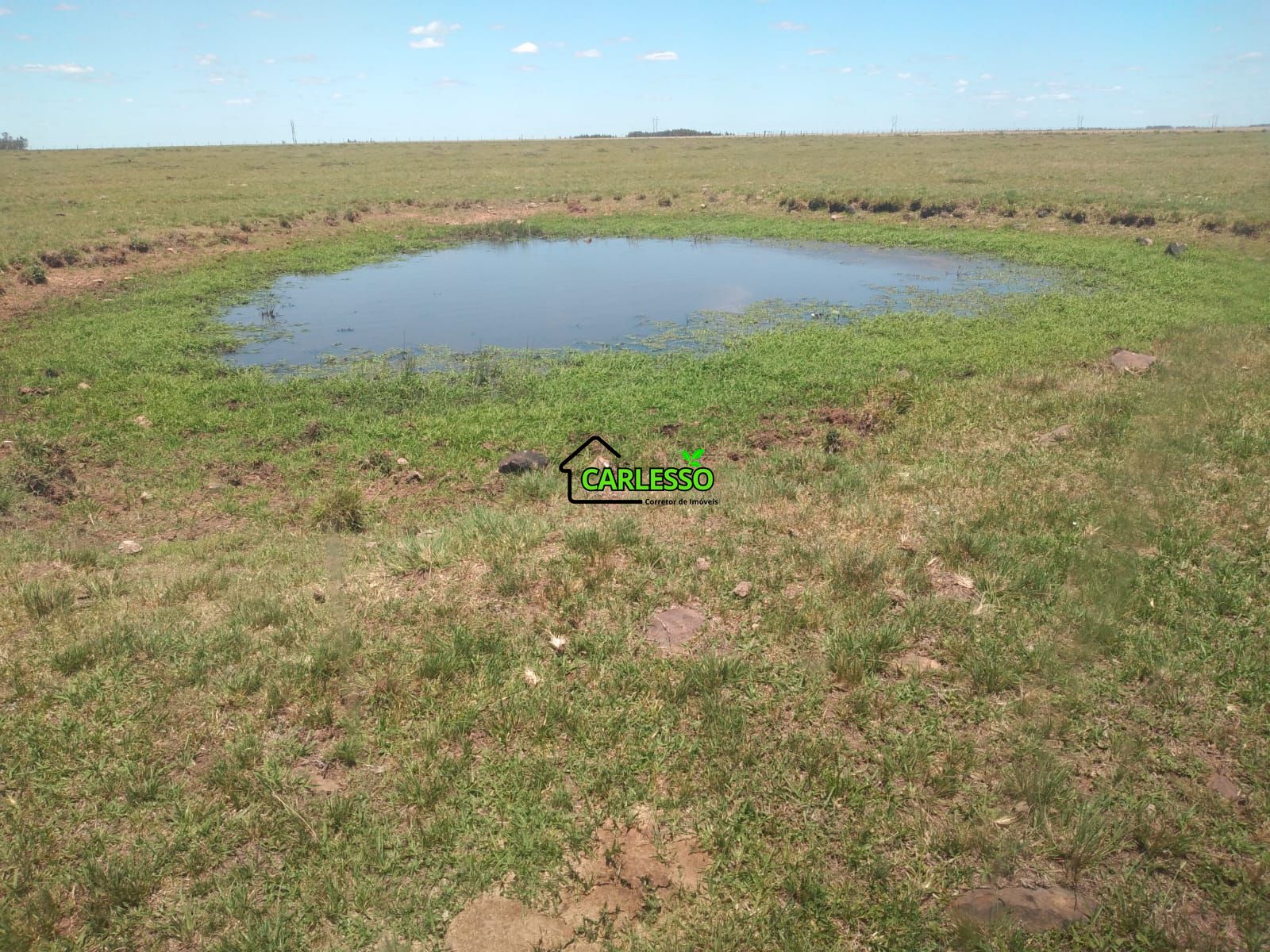 Fazenda de 65 ha