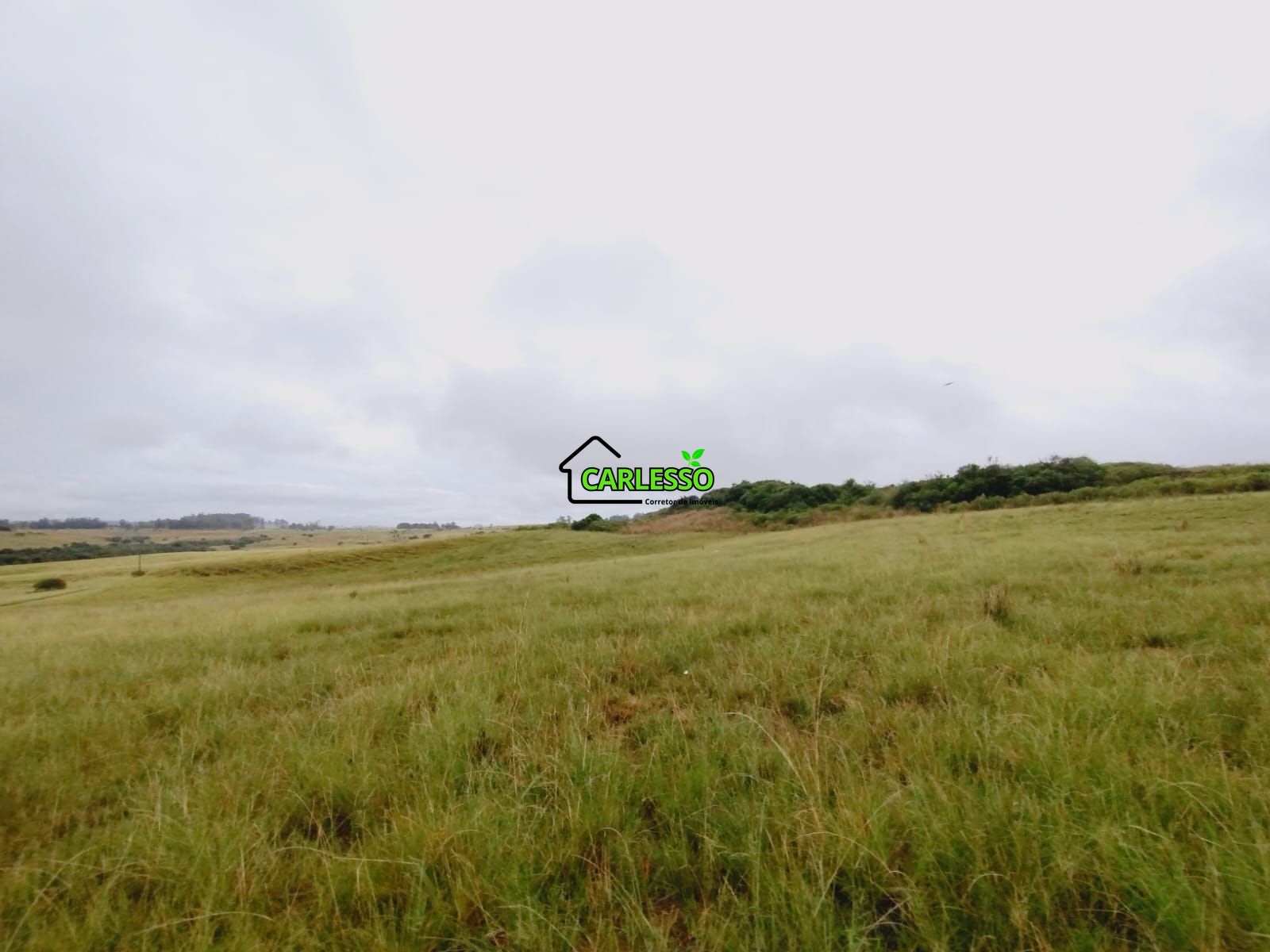 Fazenda de 80 ha em Alegrete