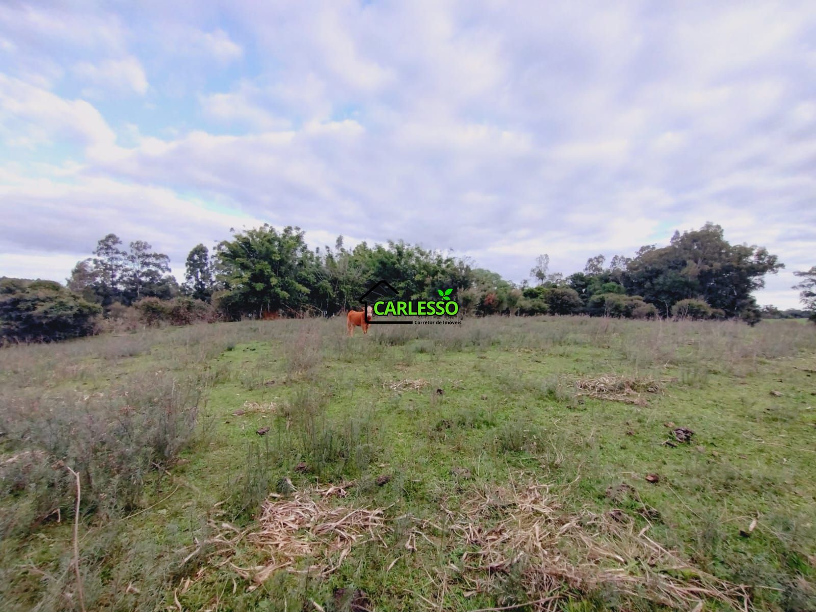 Terreno, 6 hectares - Foto 27