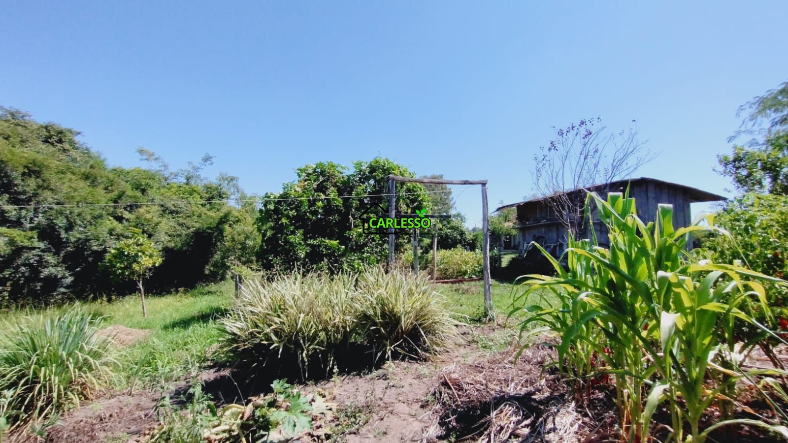 Sítio, 2 quartos, 7 hectares - Foto 36